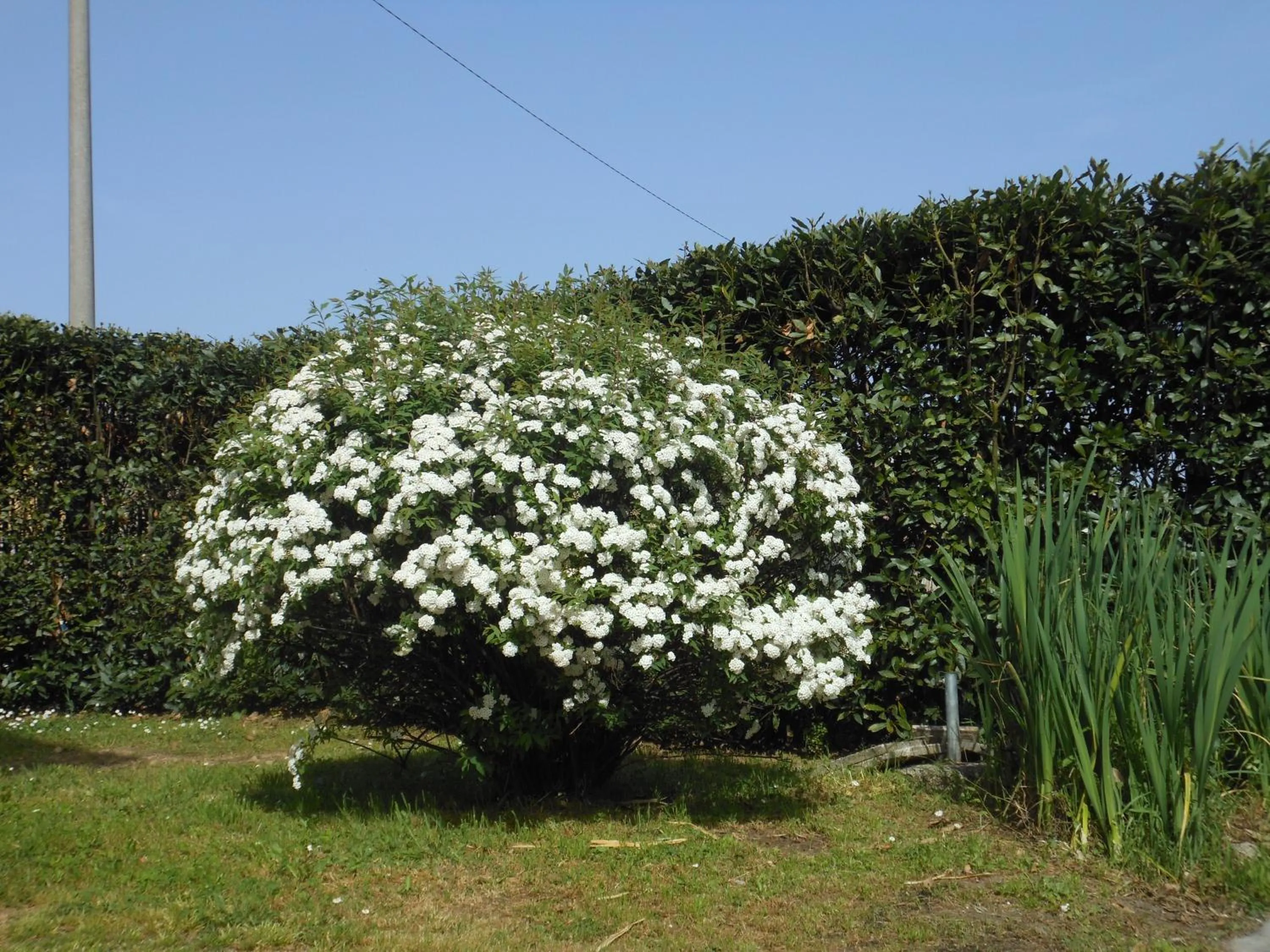 Garden in B&B La Corte