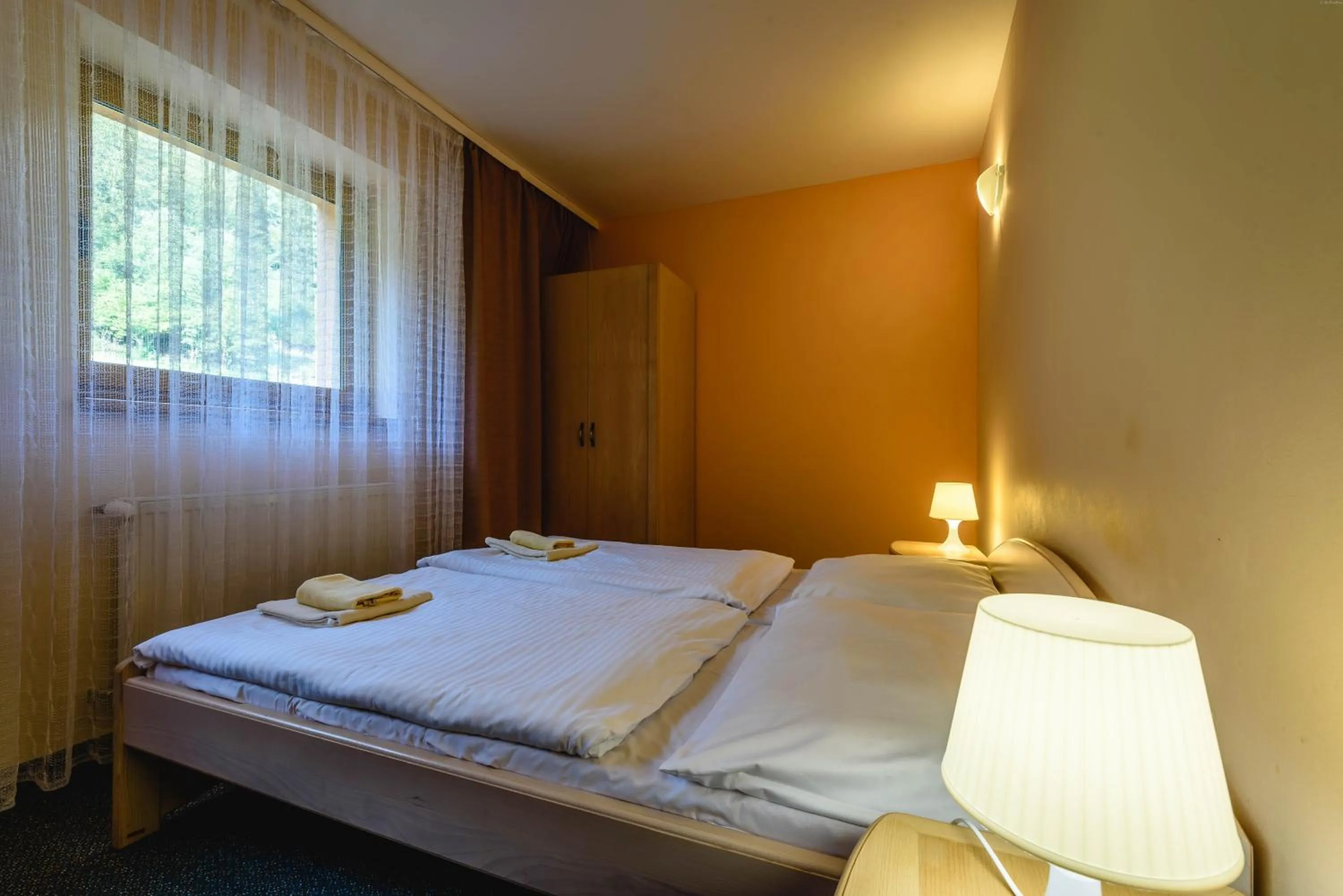 Photo of the whole room, Bed in Hotel Boboty