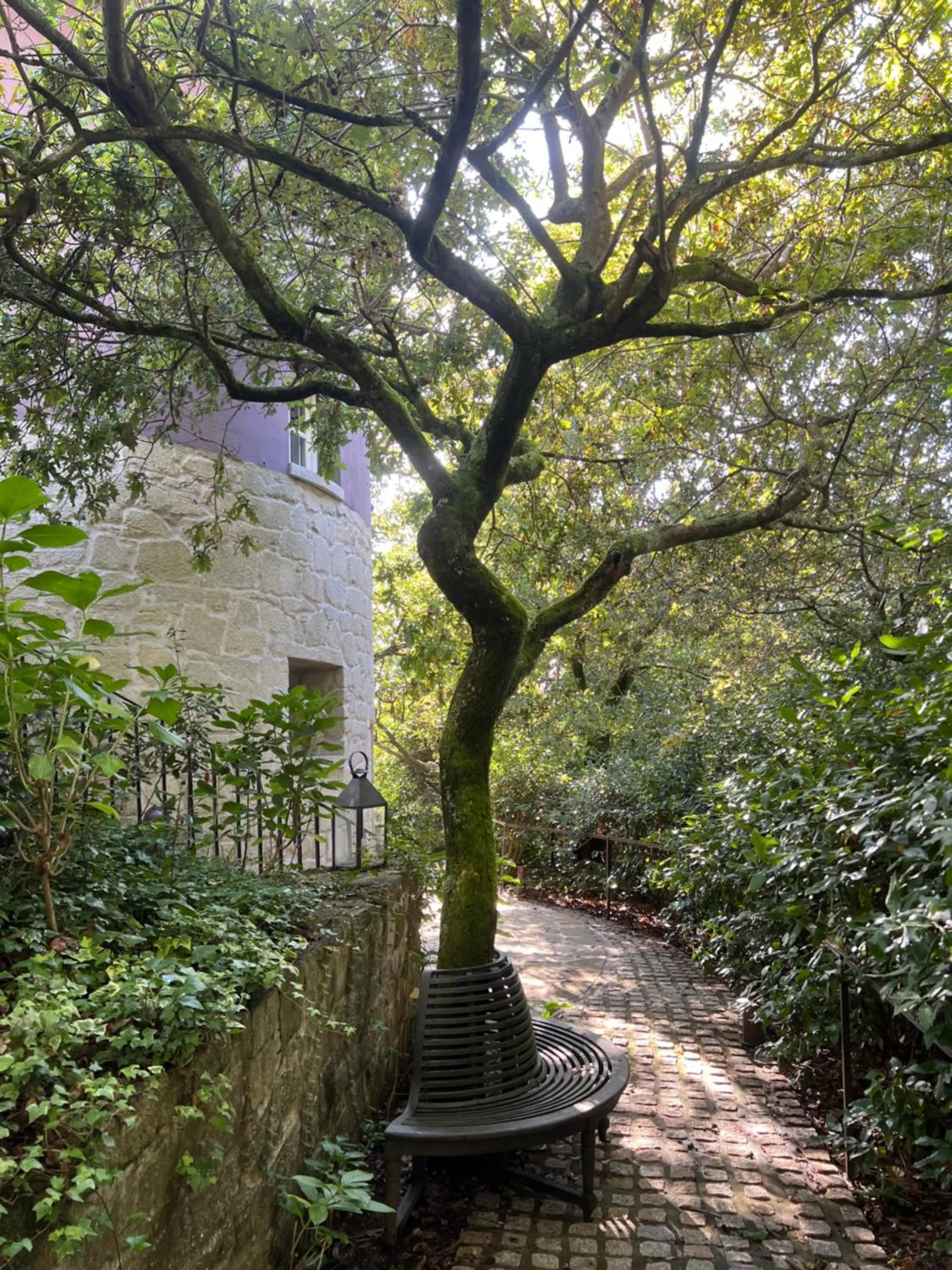 Garden in Enoturismo Novavila Rias Baixas Wine Design