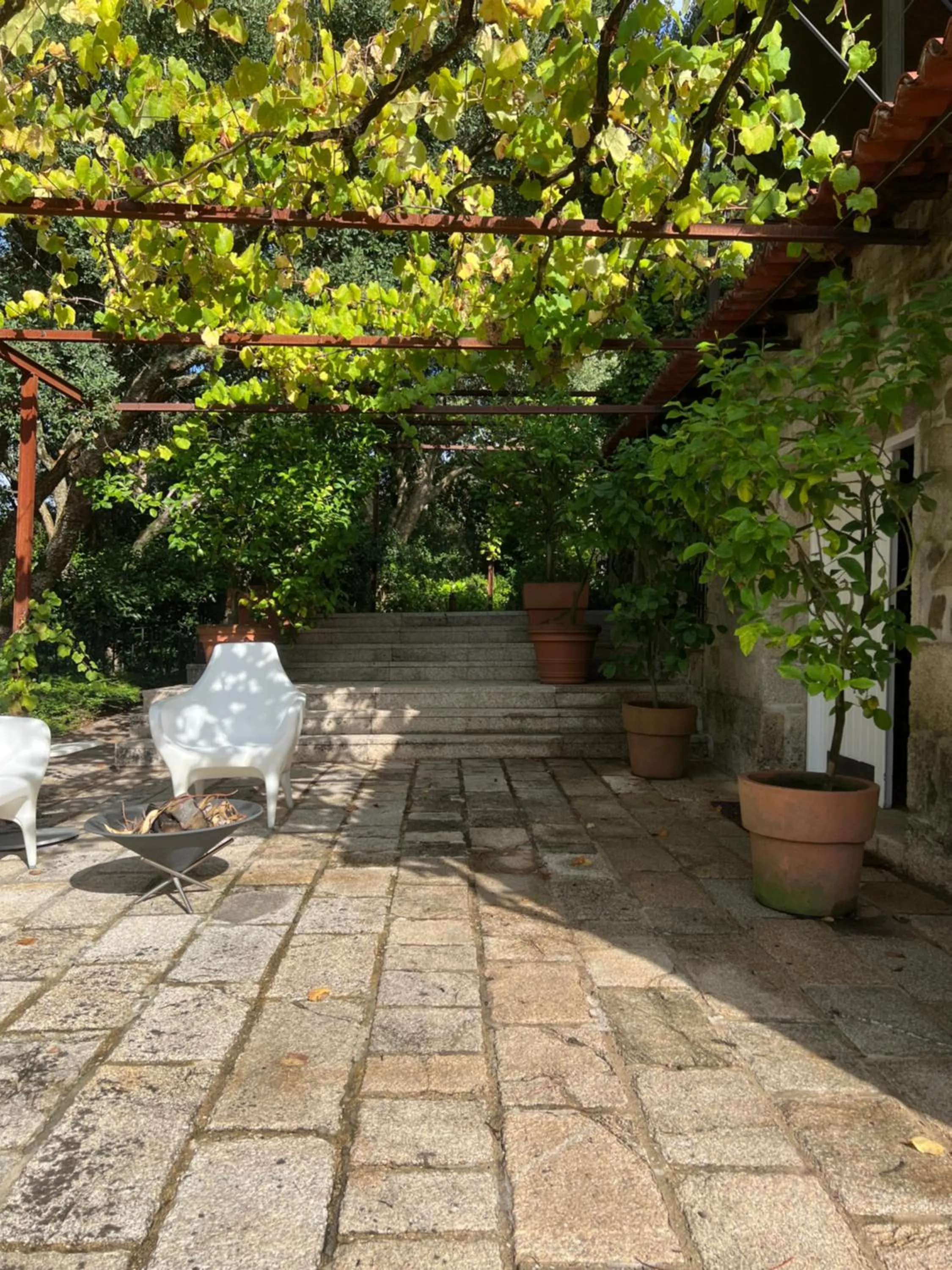 Garden in Enoturismo Novavila Rias Baixas Wine Design