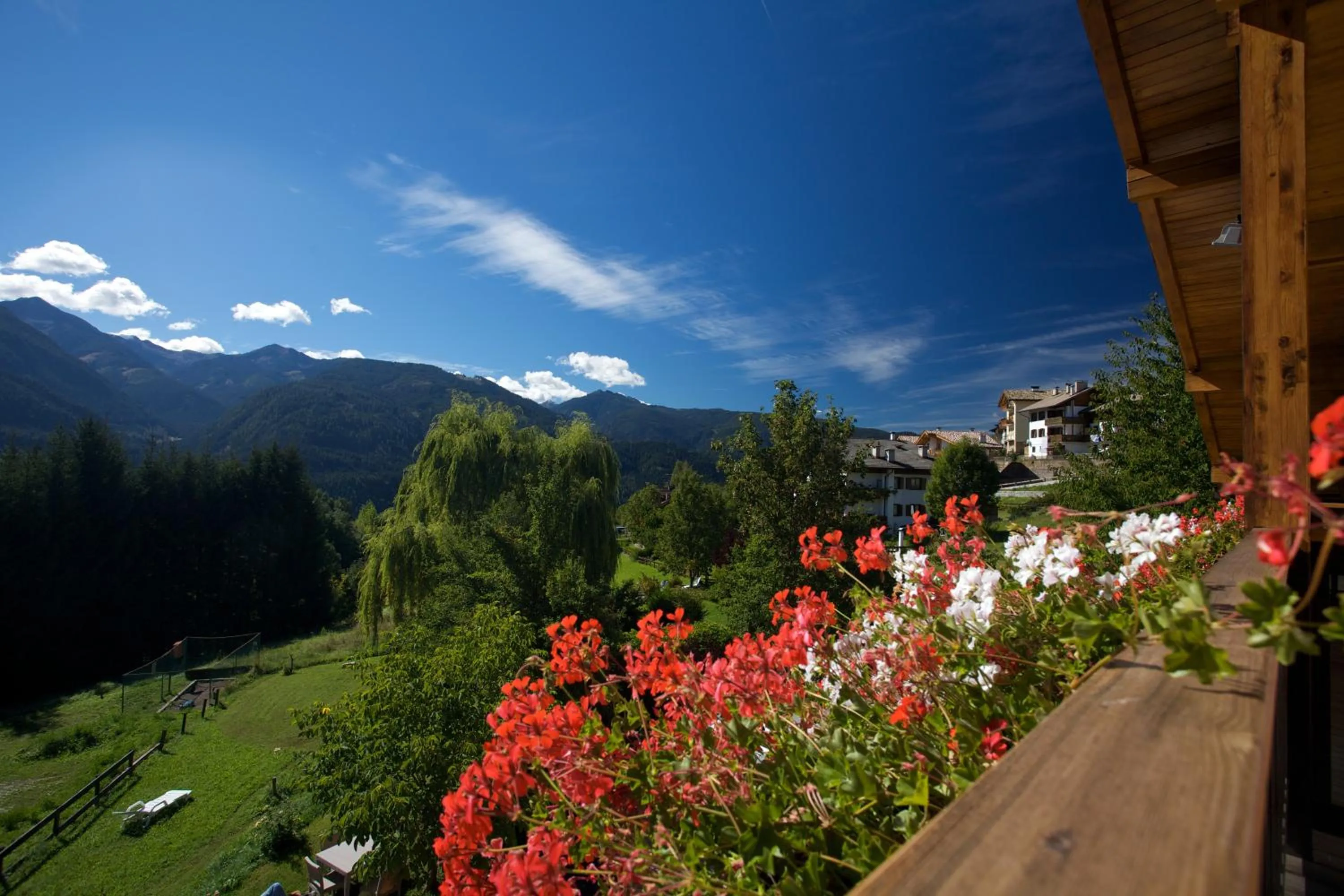 Balcony/Terrace in Albergo Bellaria