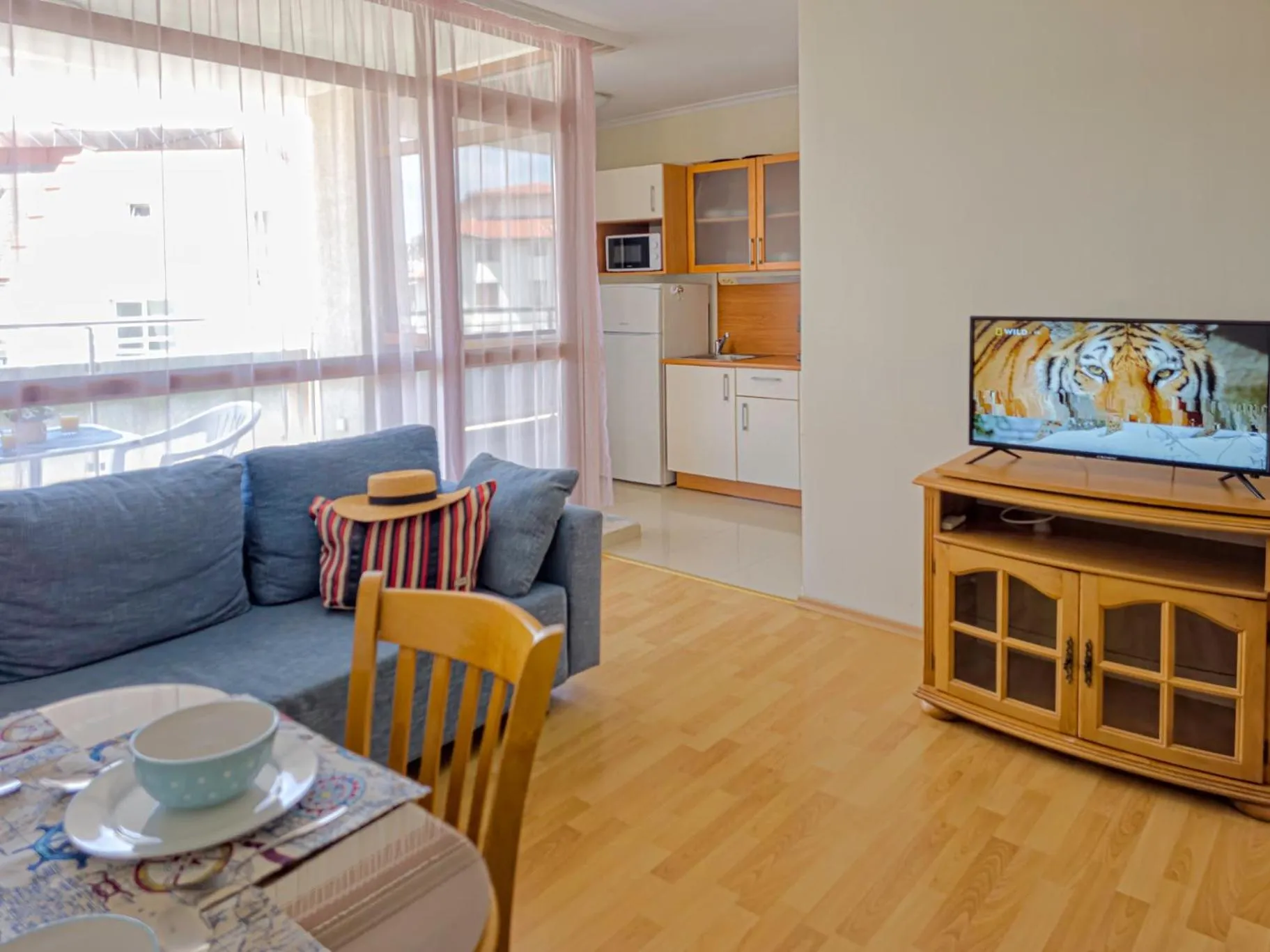 TV and multimedia in Sun City I Apartments