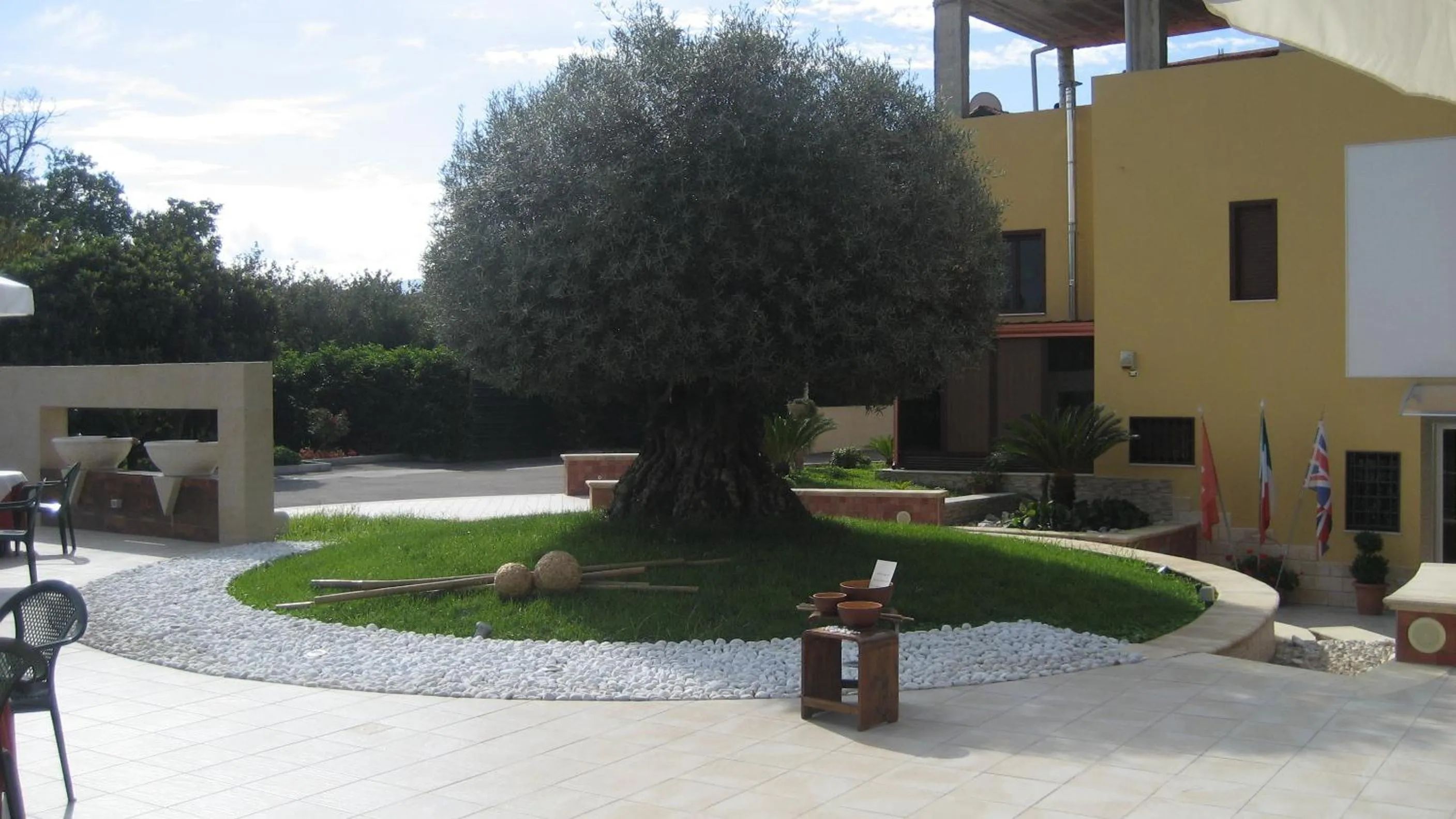 Garden in Hotel Ginevra