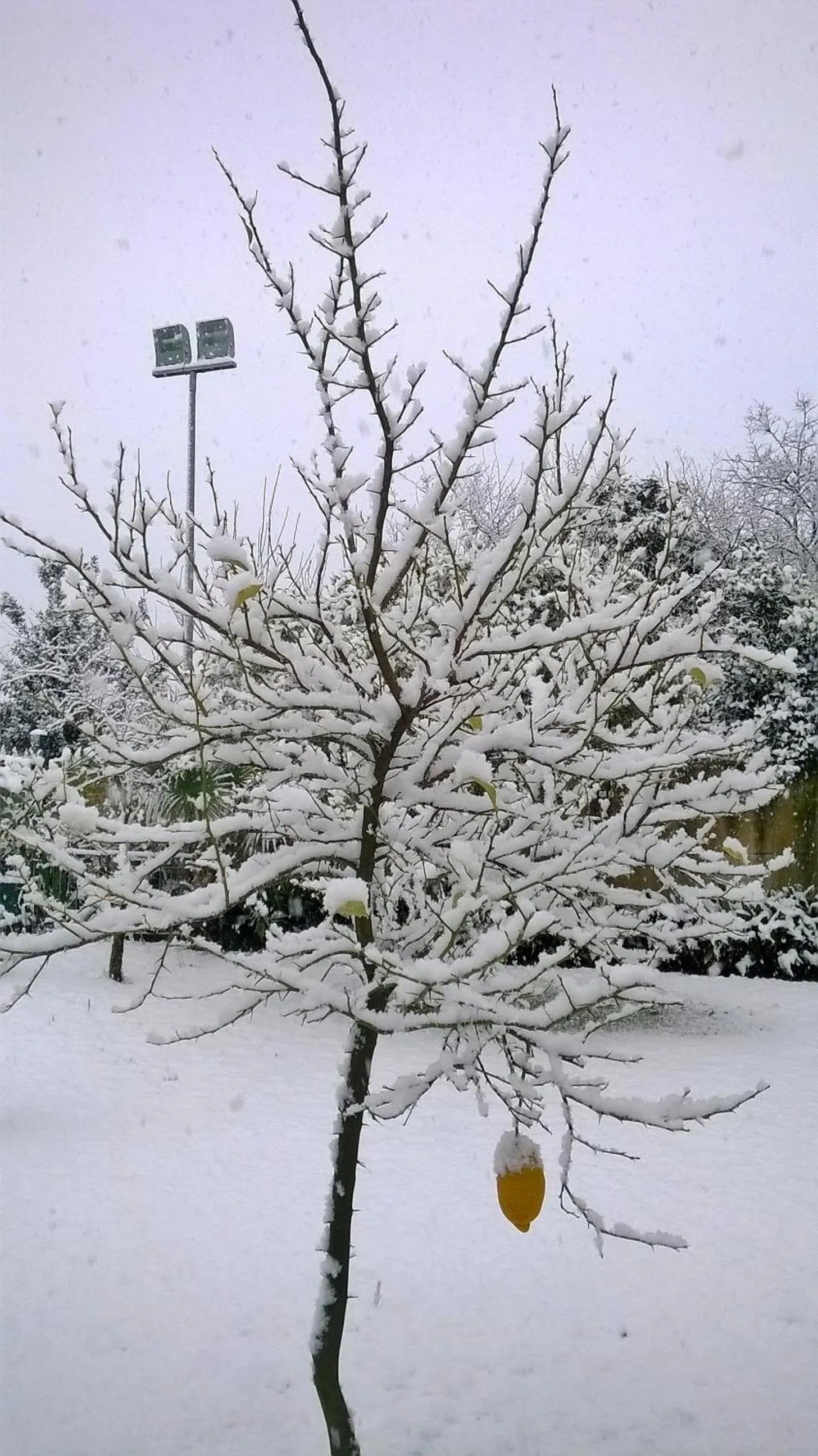 Property building in Hotel Ginevra