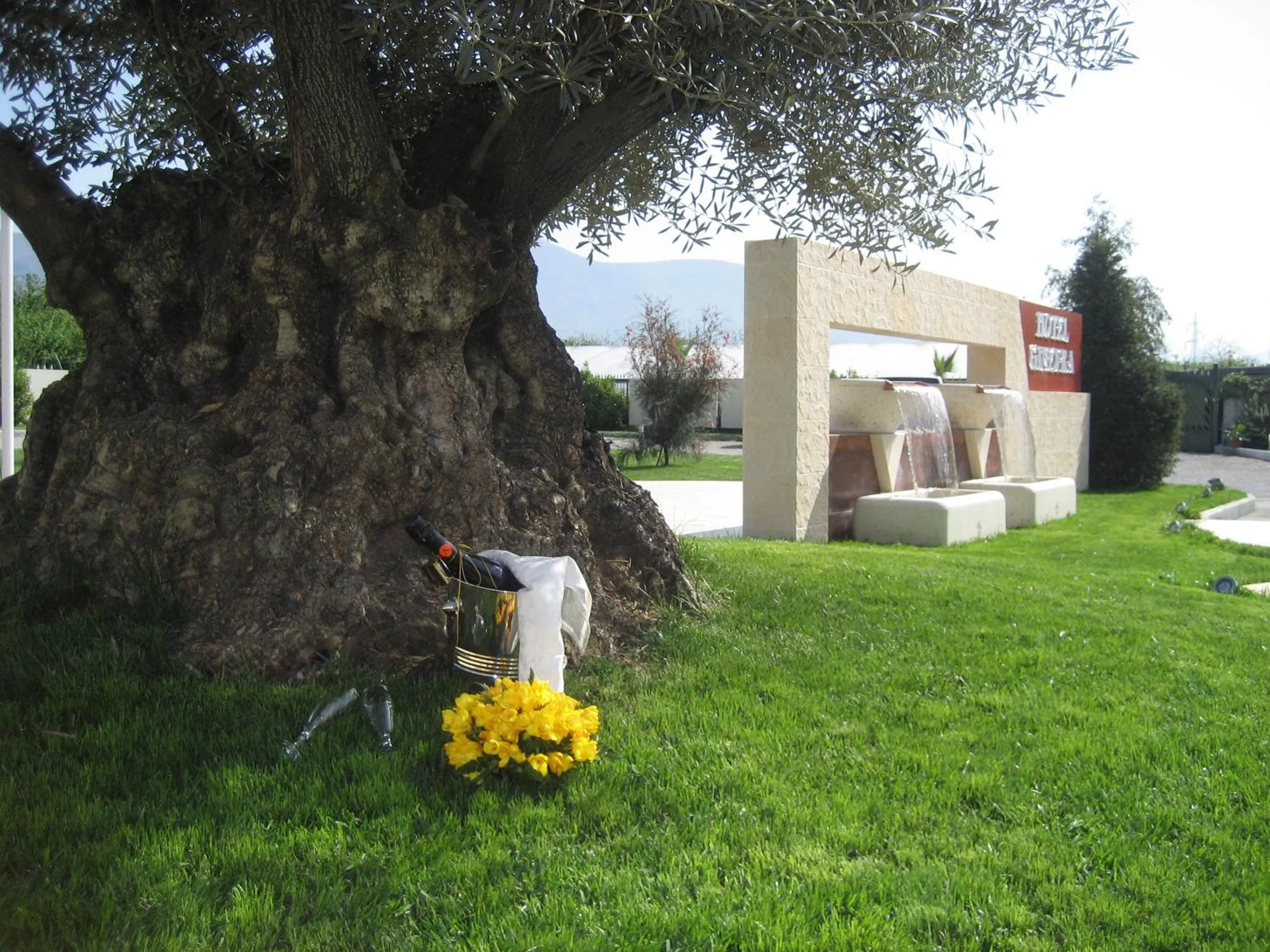 Garden in Hotel Ginevra