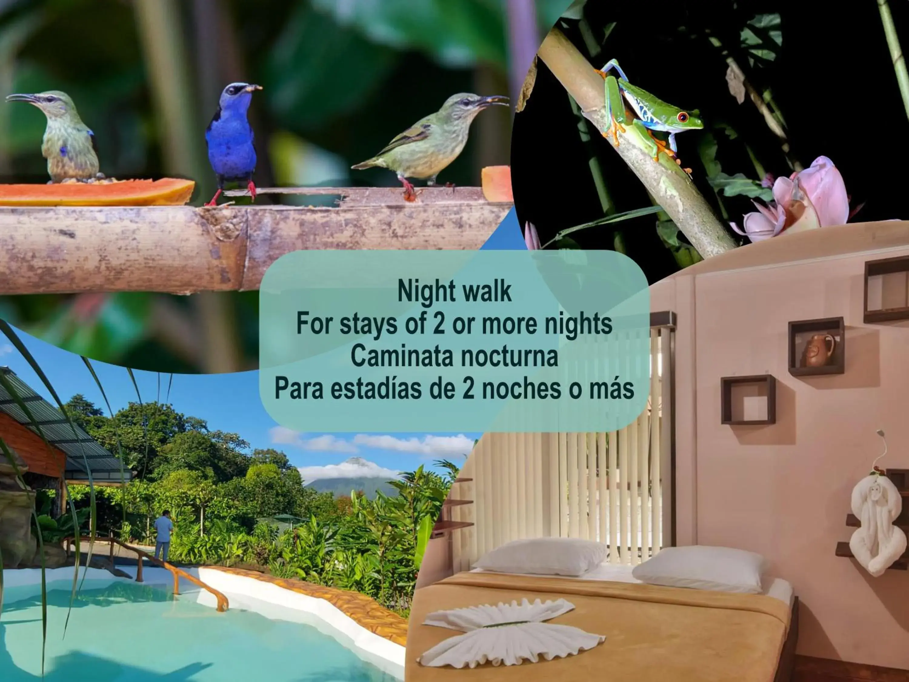 Family Room with Bathroom in Cabañas del Rio Family Room with Bathroom in Cabañas del Rio