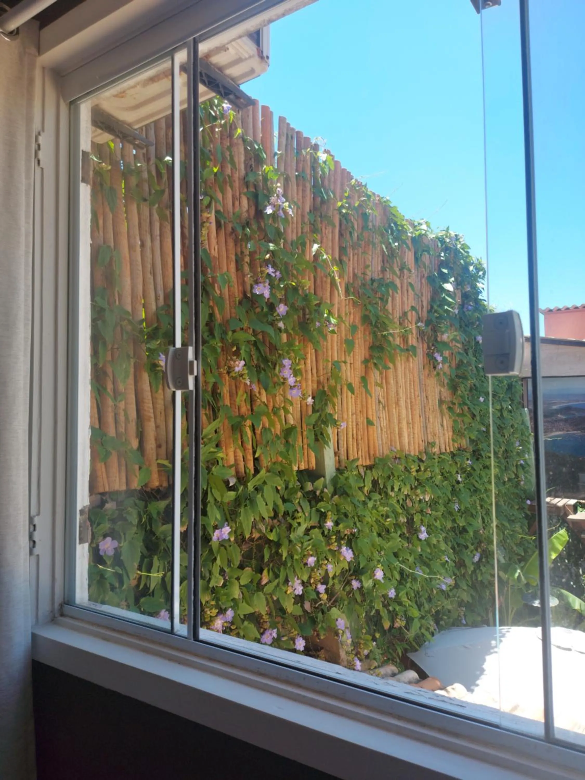 View (from property/room) in Pousada Arraial Inn