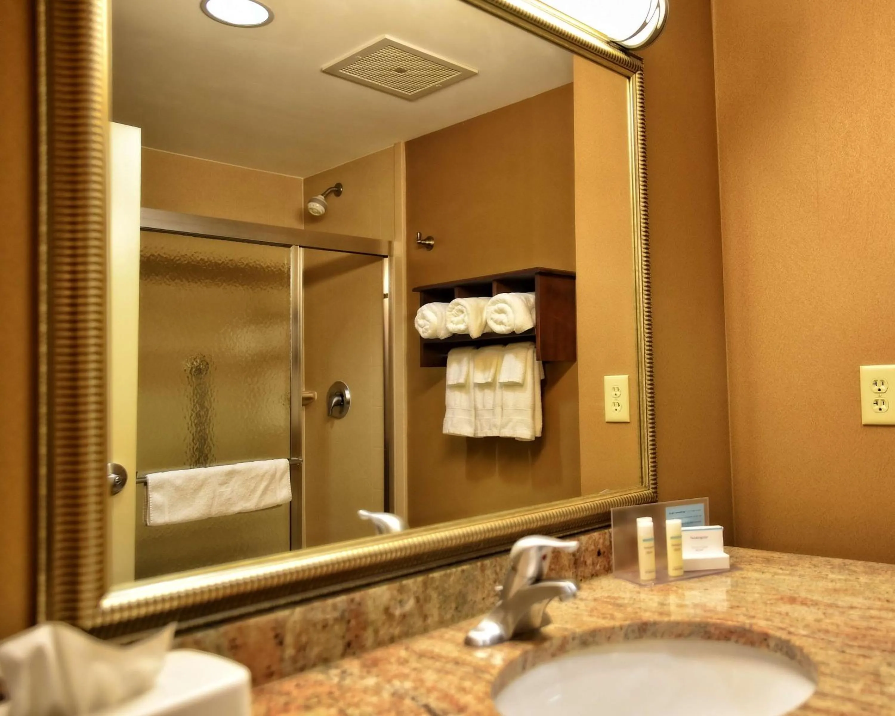 Bathroom in Hampton Inn Geneseo