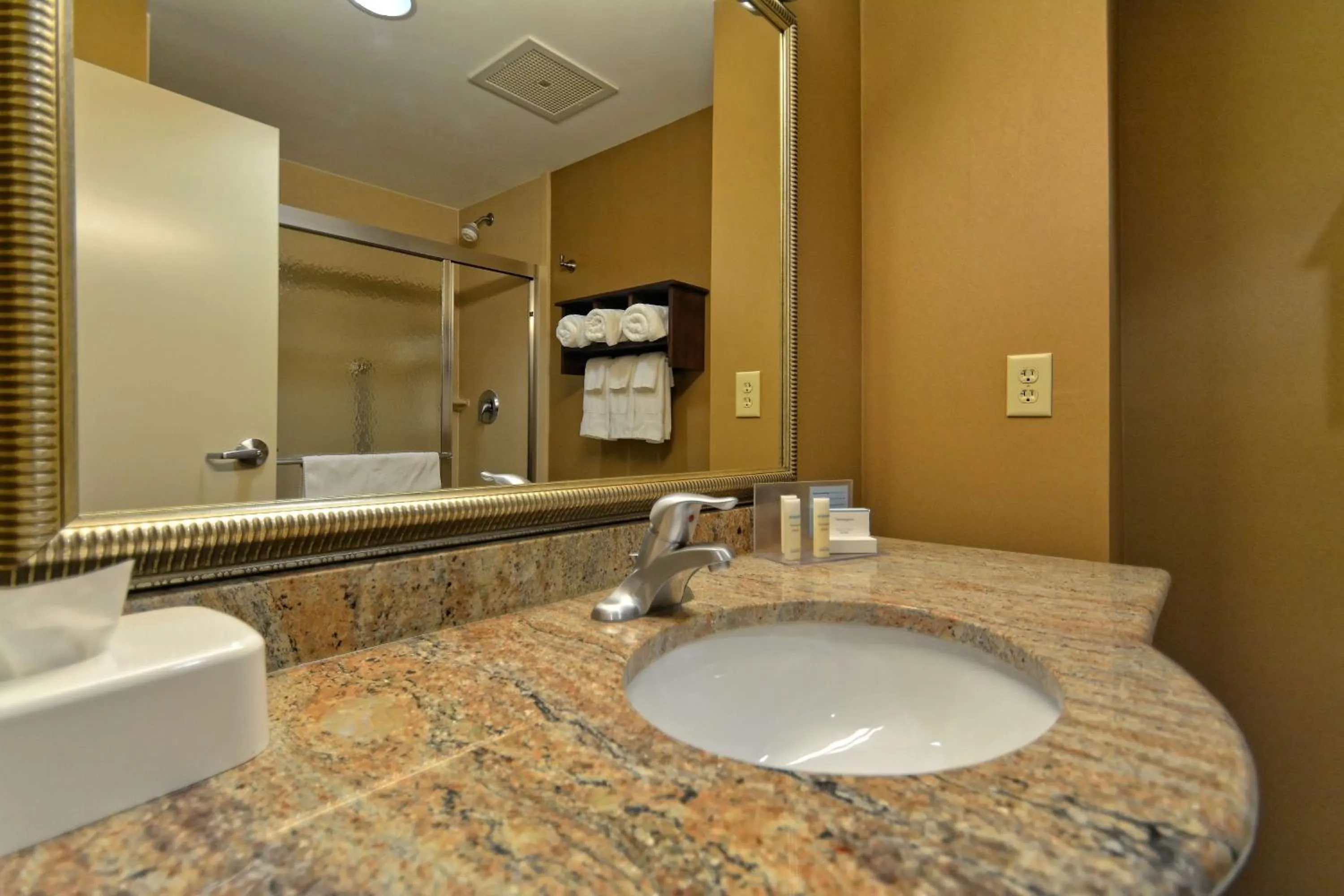 Bathroom in Hampton Inn Geneseo