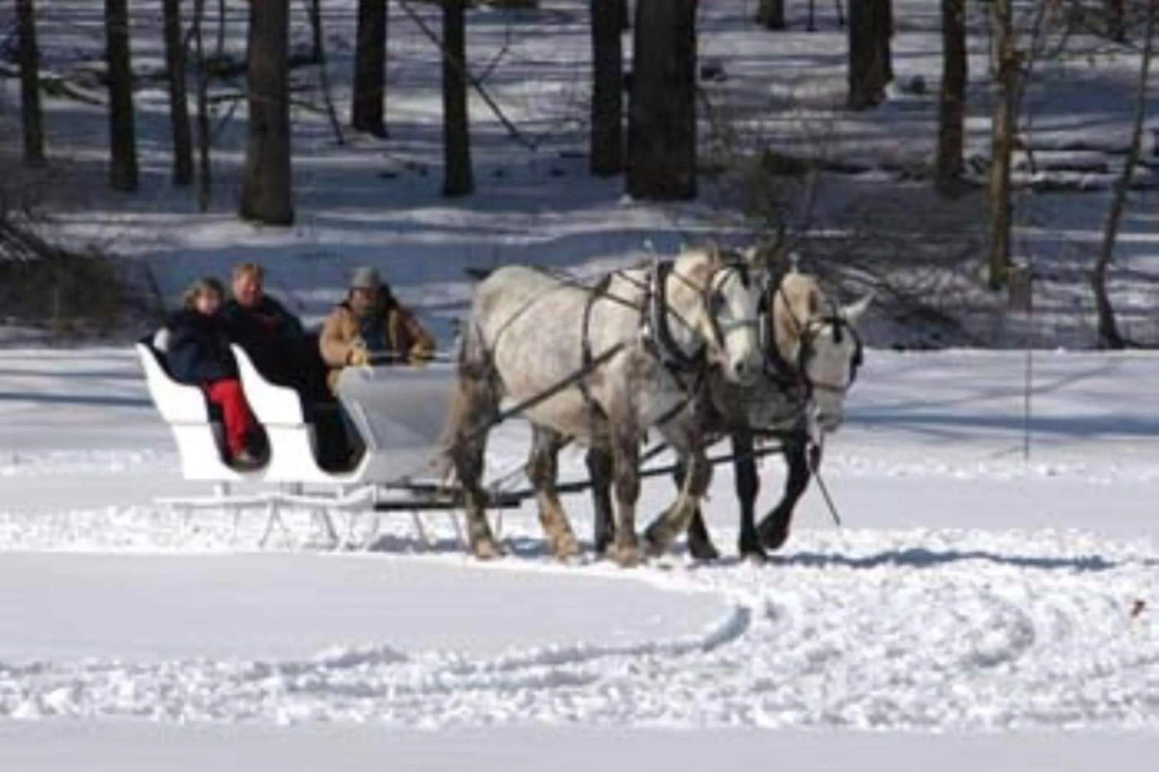 Property building in Hampton Inn Geneseo