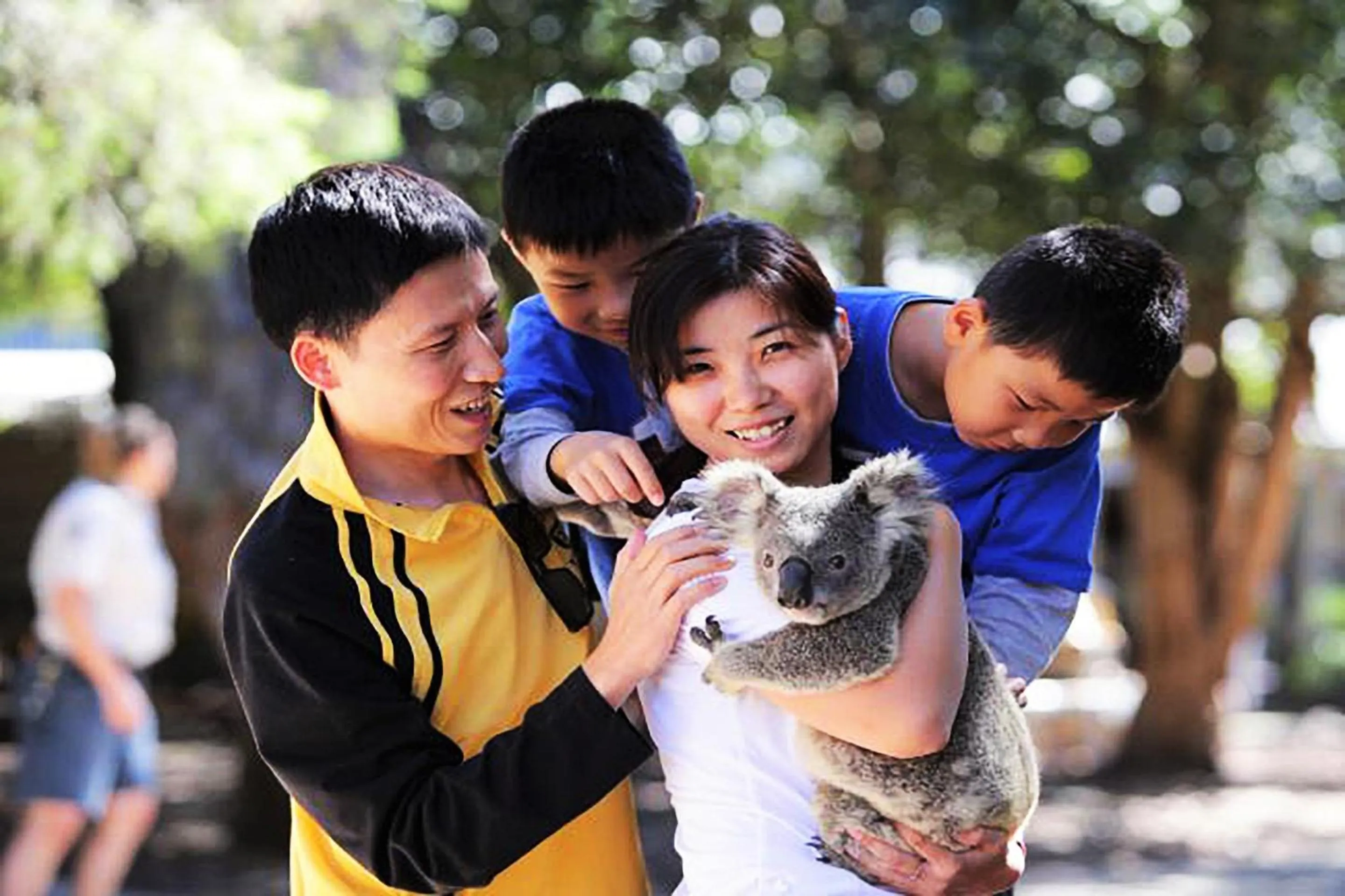 Neighbourhood in Sandcastles On Currumbin Beachfront, Gold Coast