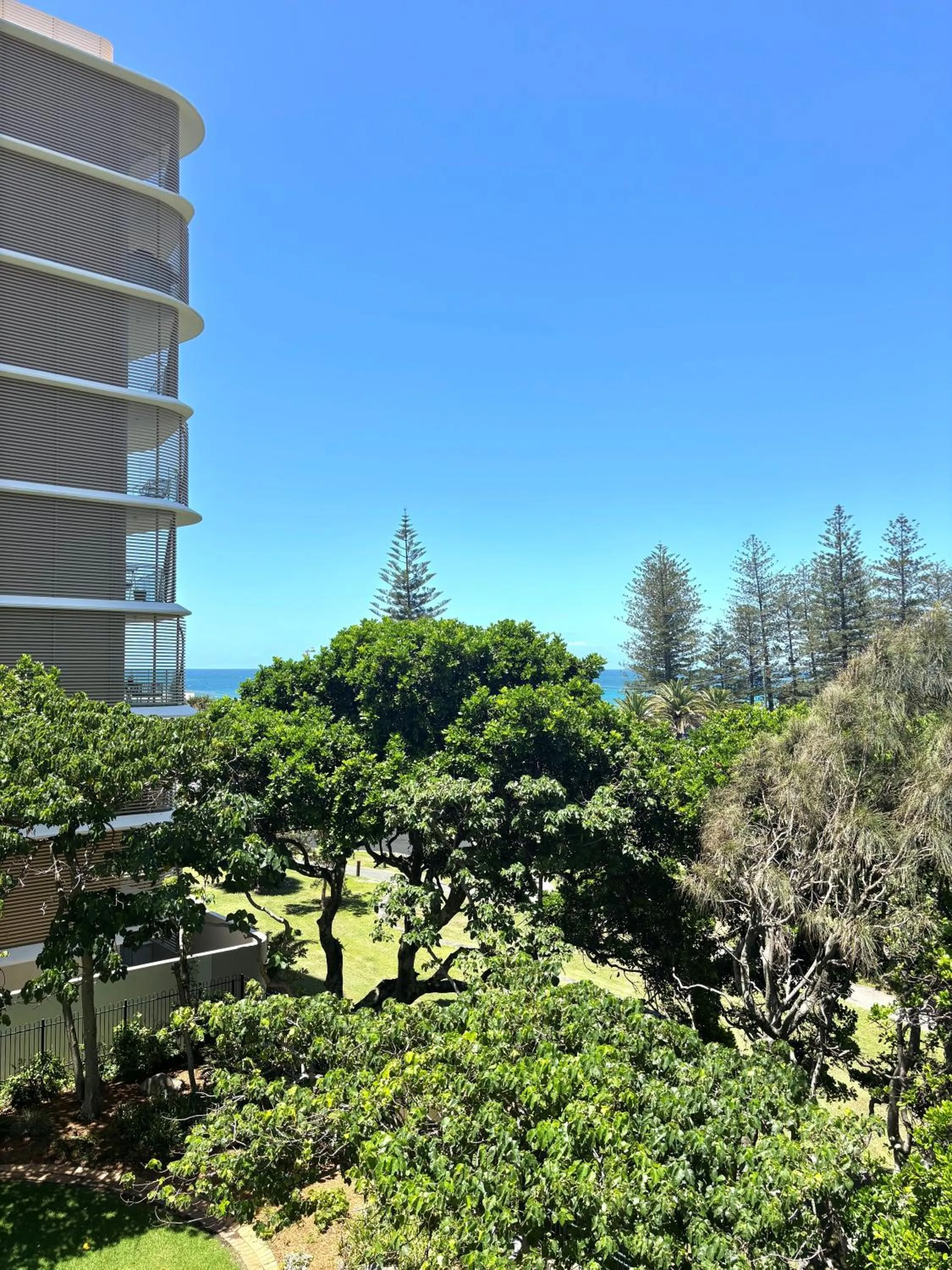 Garden view in Burleigh Beach Tower