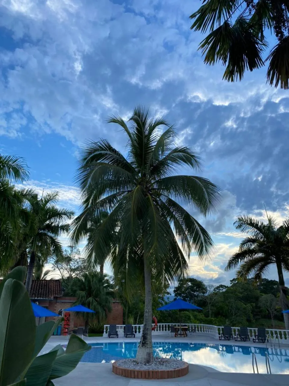Swimming pool in La Manola Finca Hotel