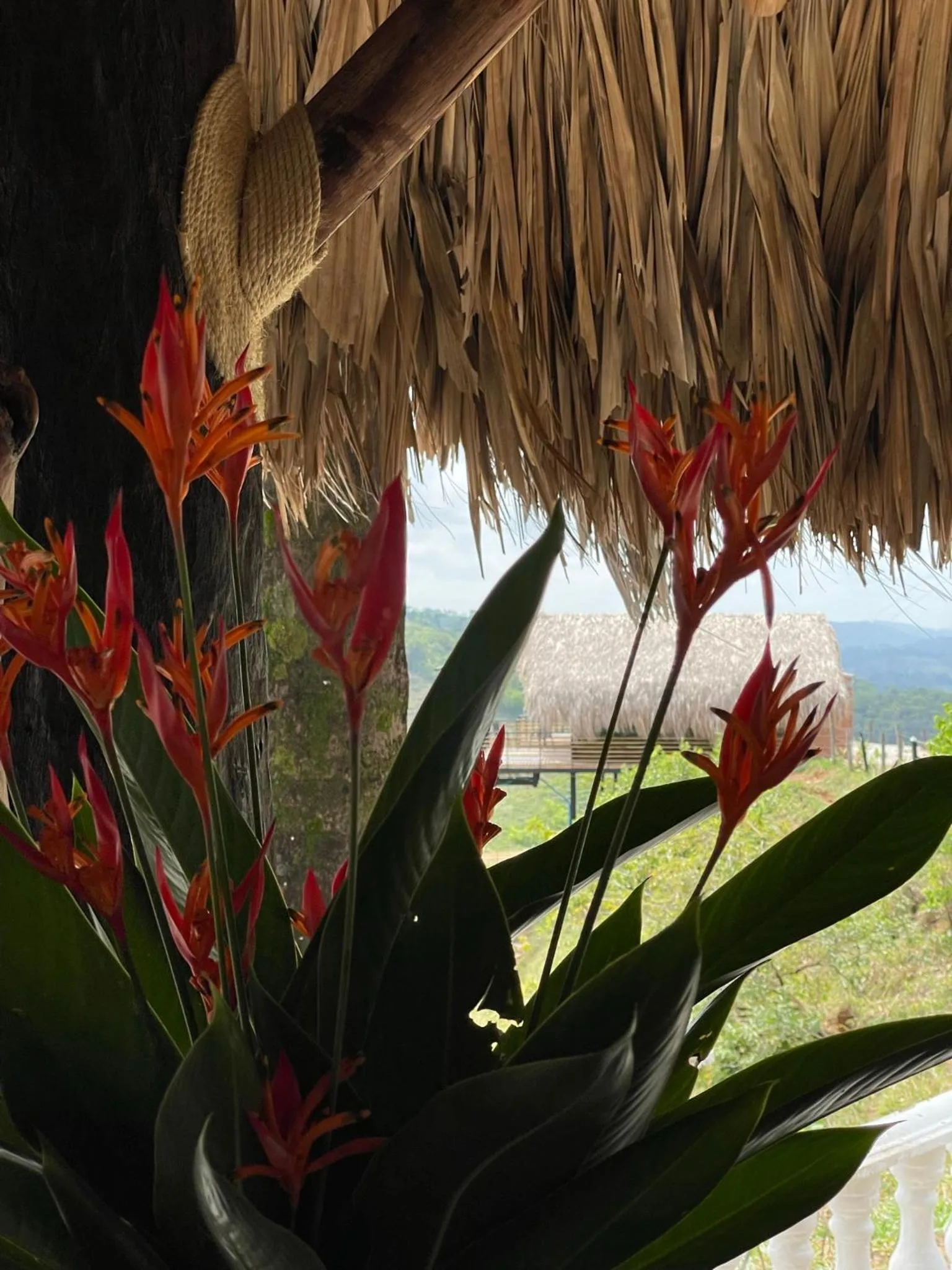 Natural landscape in La Manola Finca Hotel