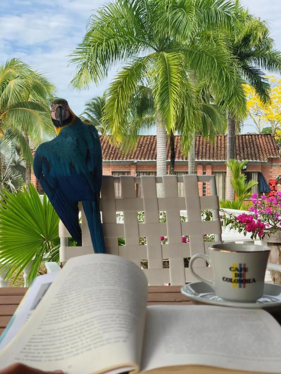 View (from property/room) in La Manola Finca Hotel