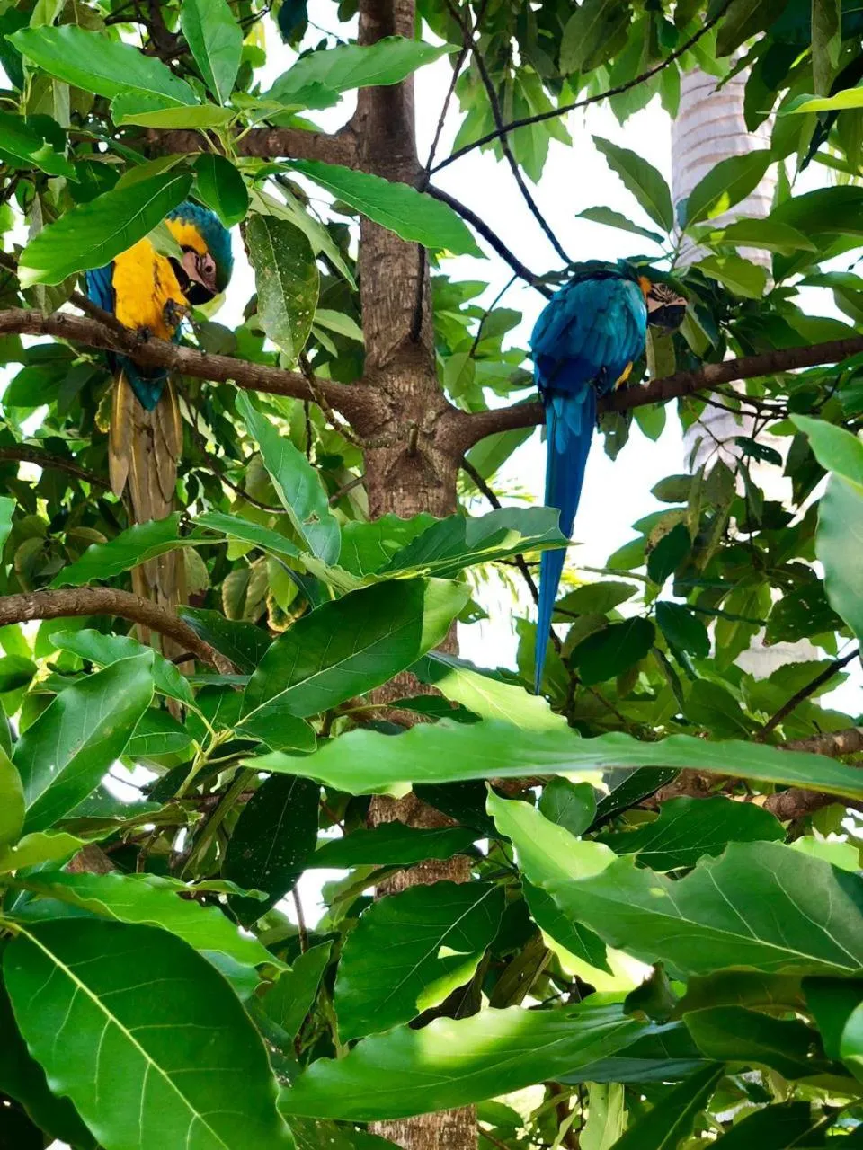 Natural landscape in La Manola Finca Hotel