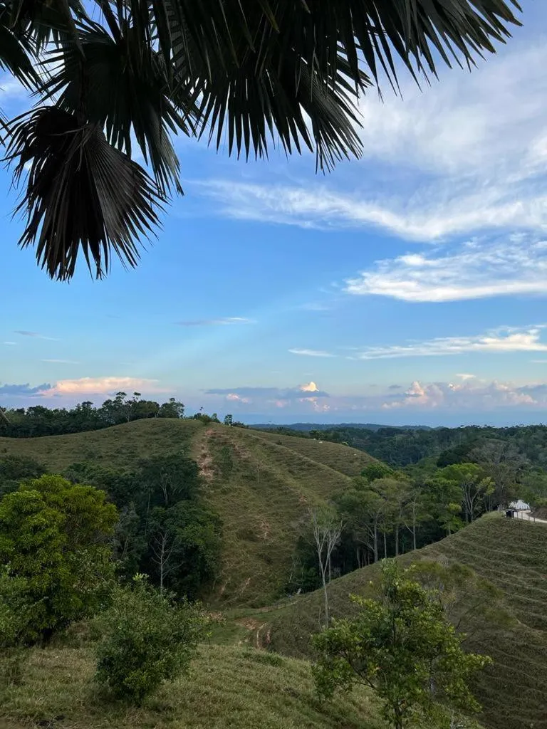 Natural landscape in La Manola Finca Hotel