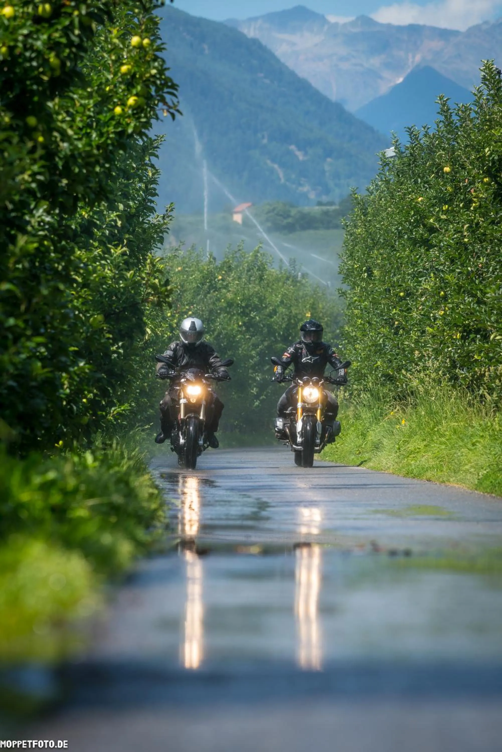 View (from property/room) in Landhotel Anna