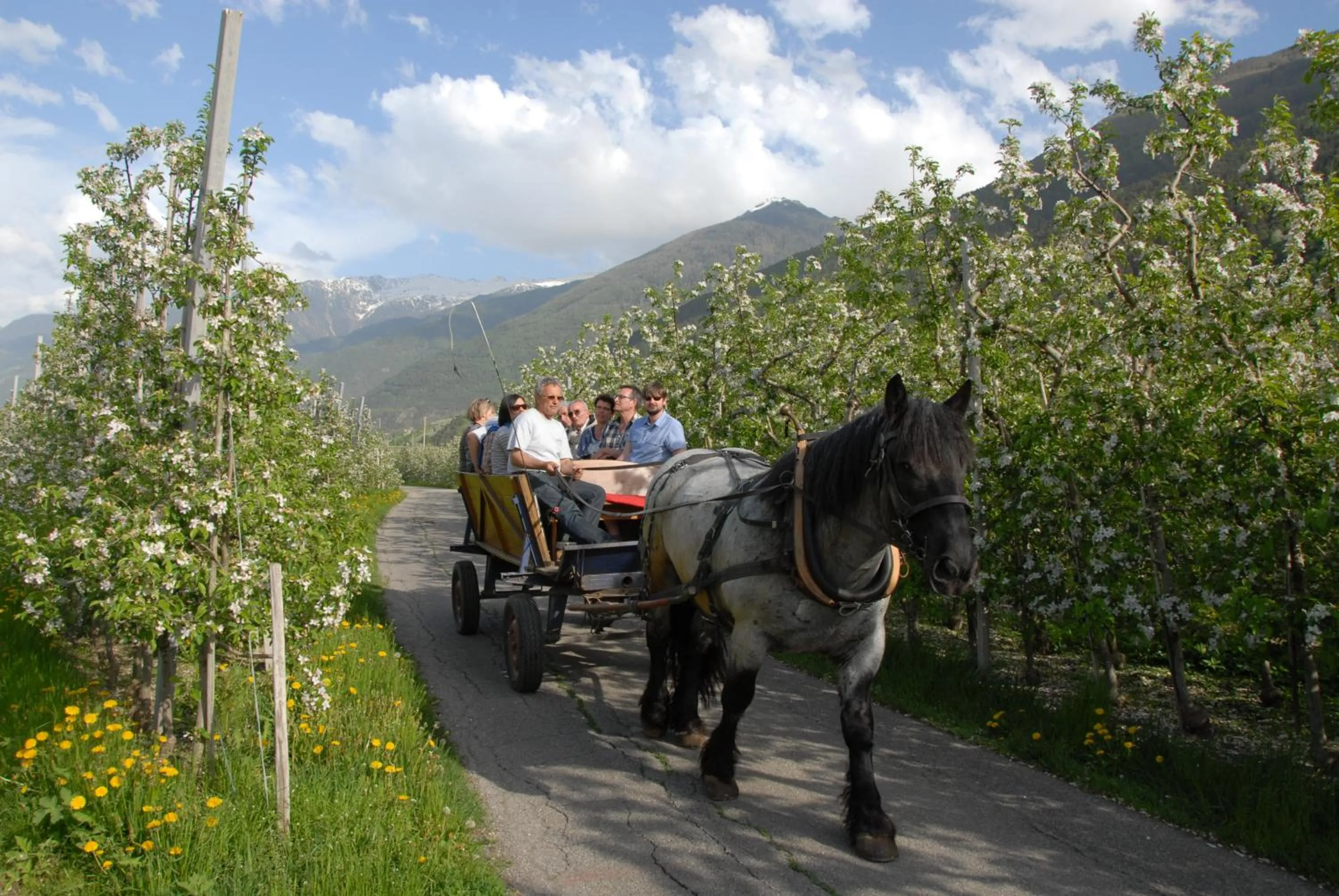 Sports in Landhotel Anna