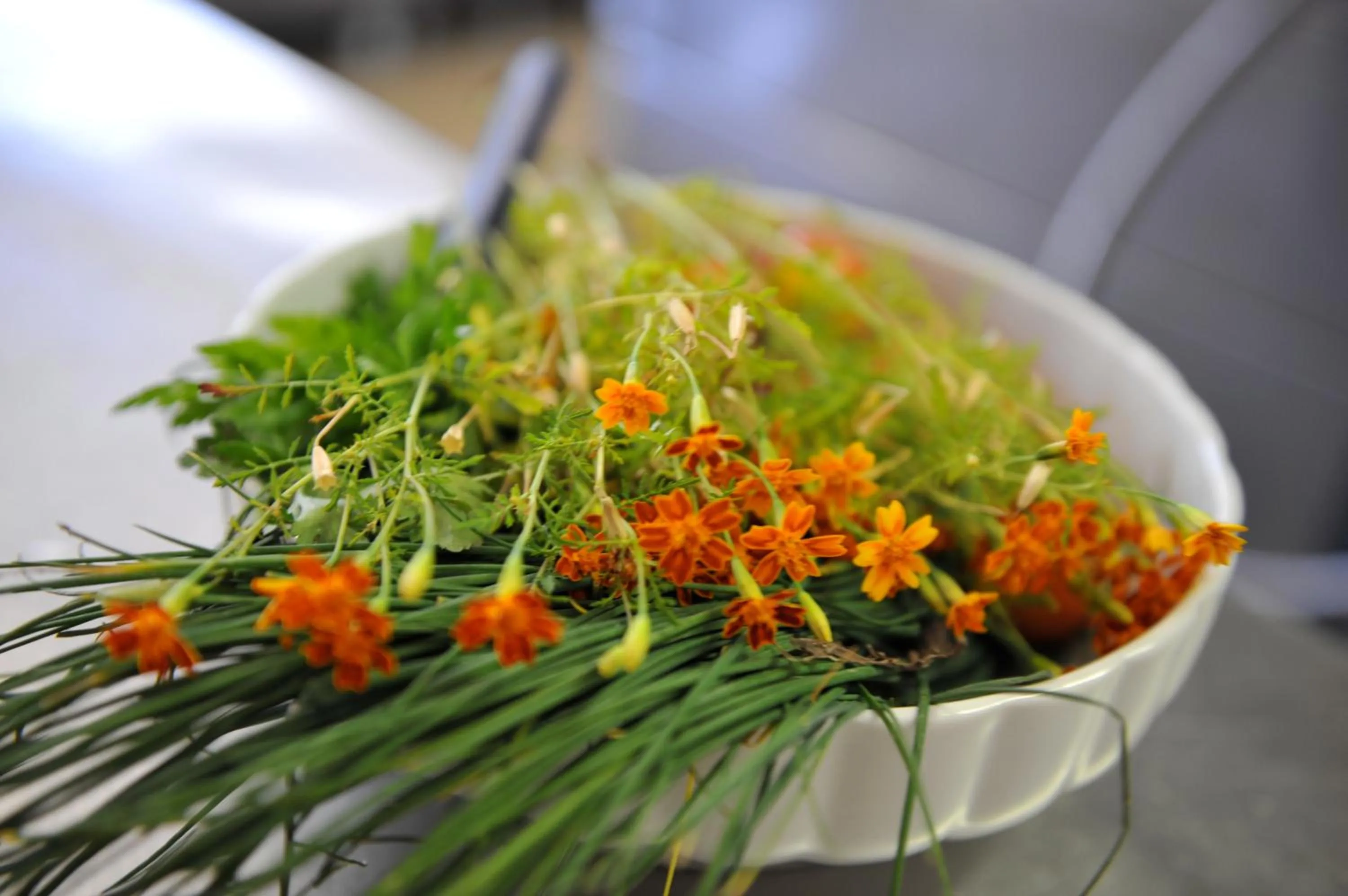 Food and drinks in Landhotel Anna