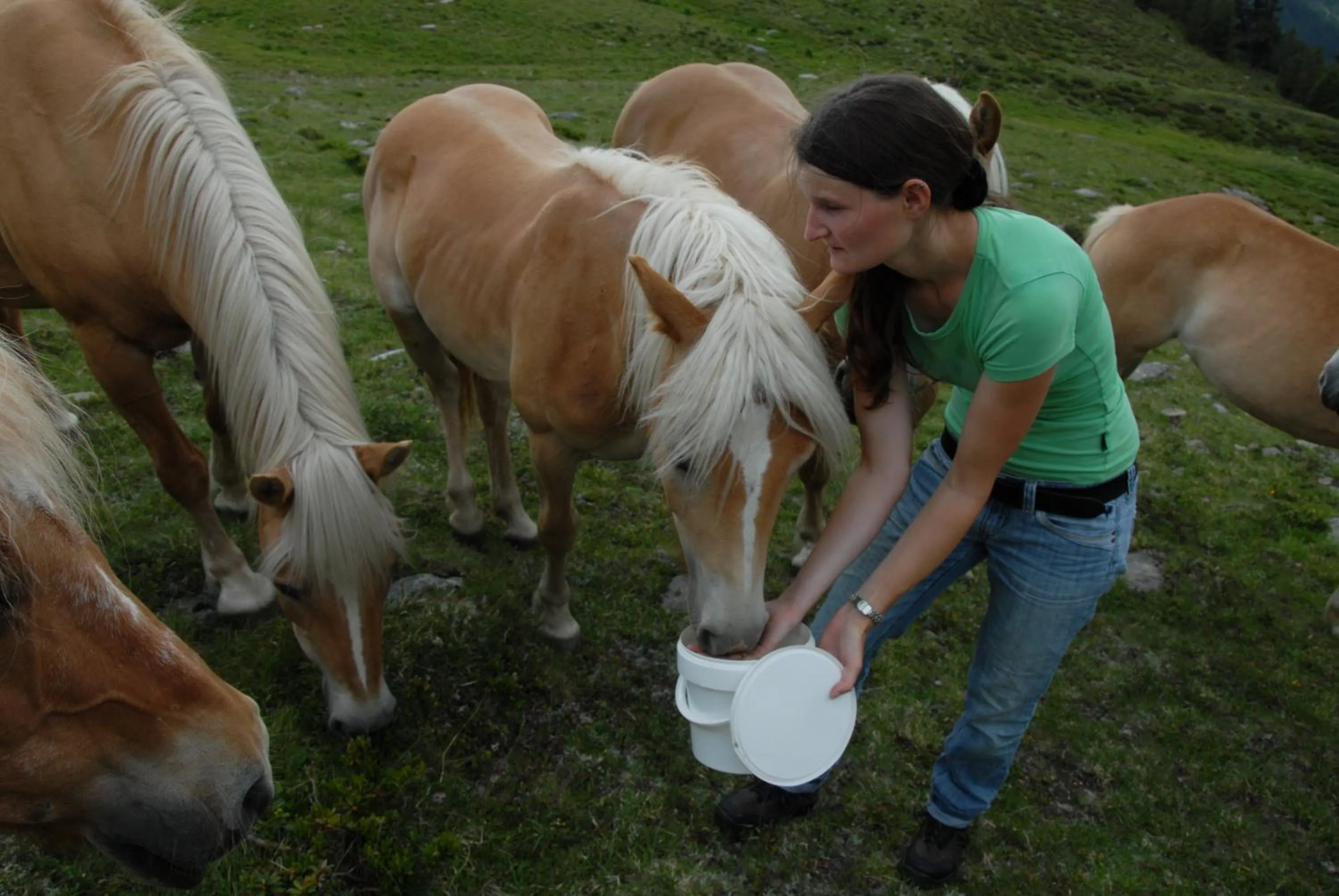 Spring in Landhotel Anna