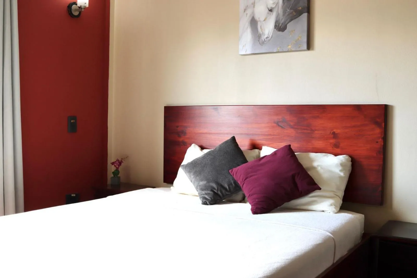Hotel La Amistad