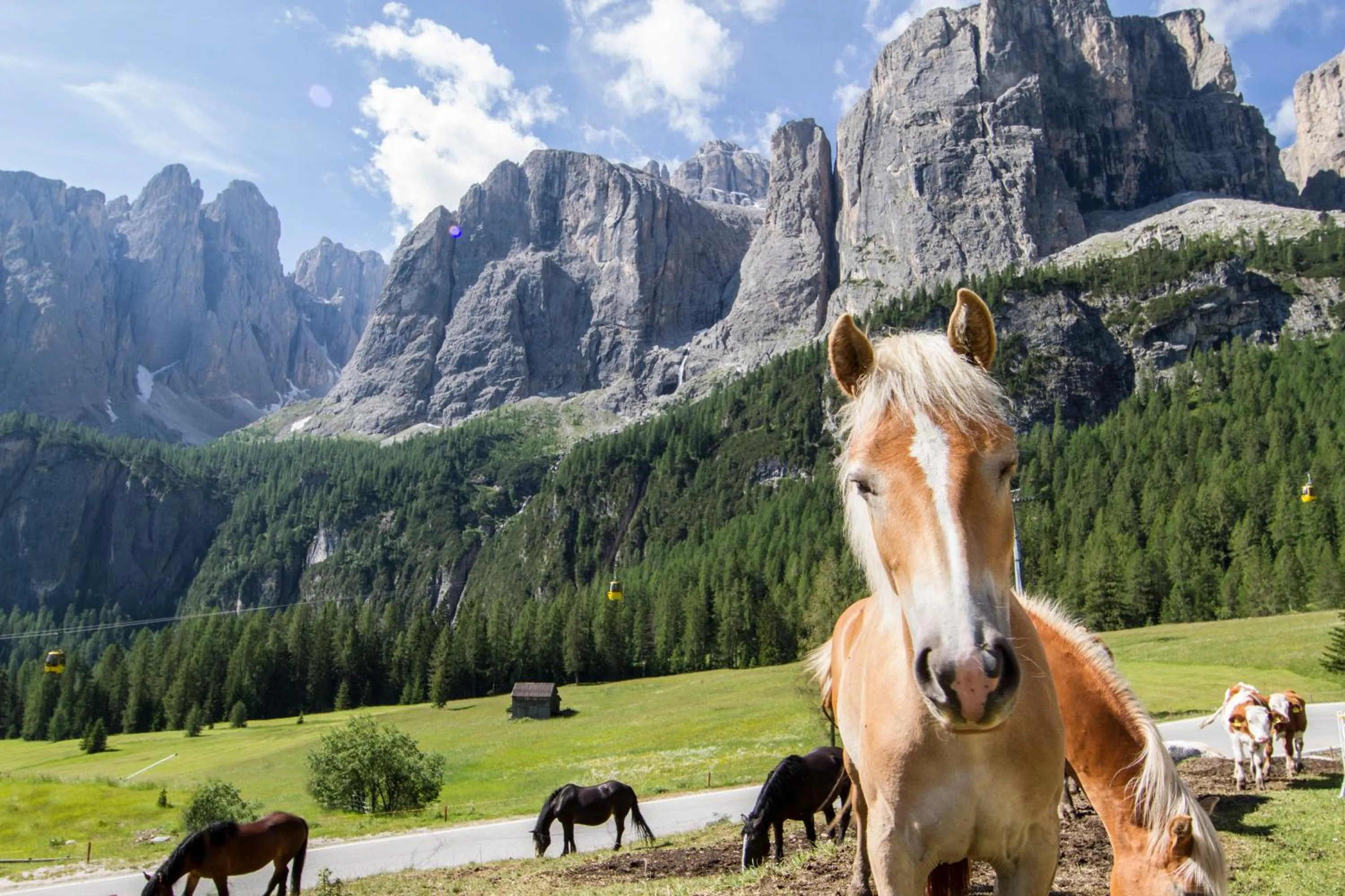 Day in Chalet Madrisa