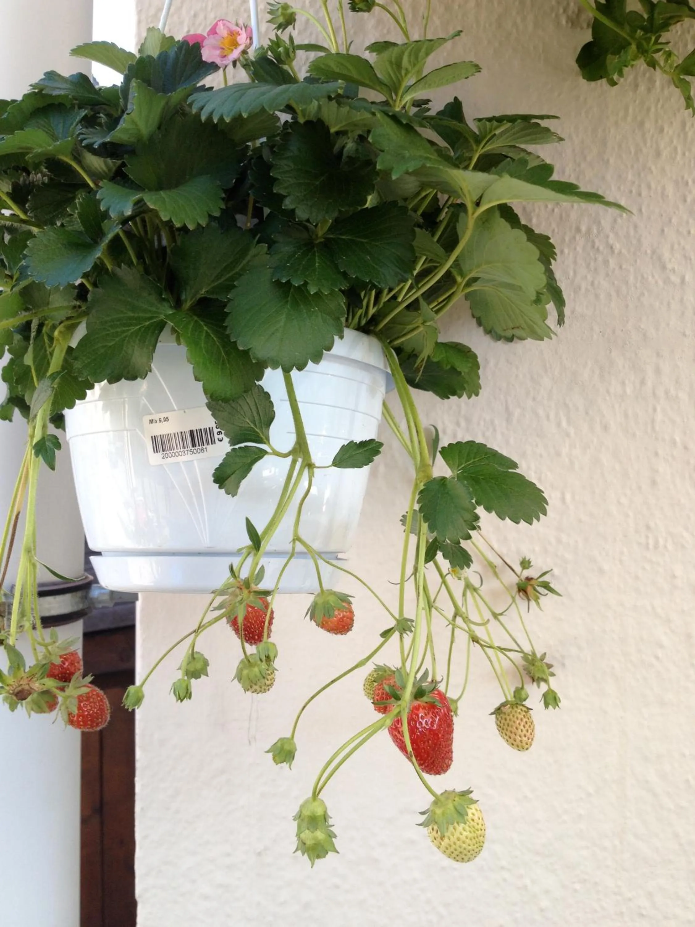 Other in Chalet Madrisa