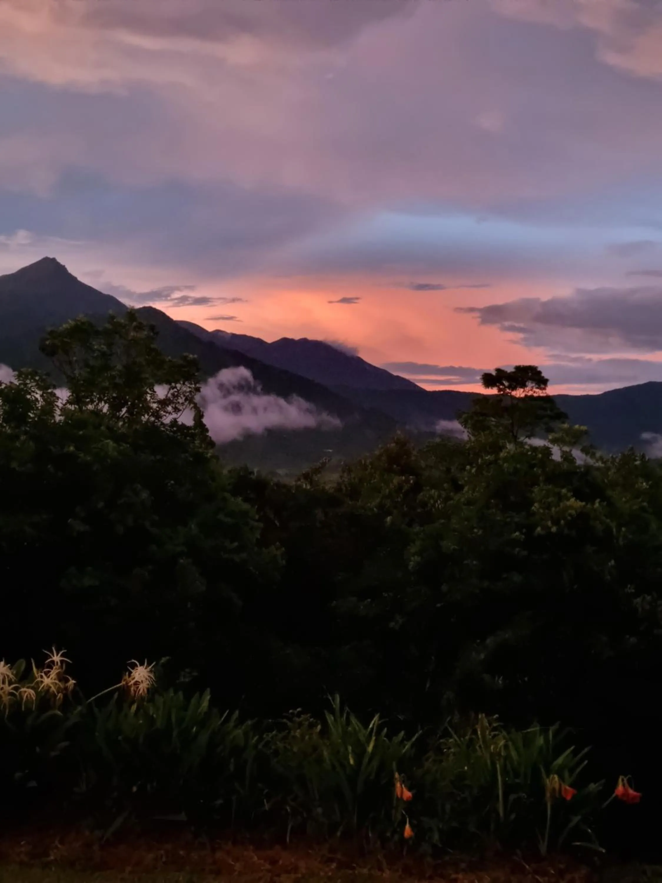 Sunset in Wompoo Eco Retreat