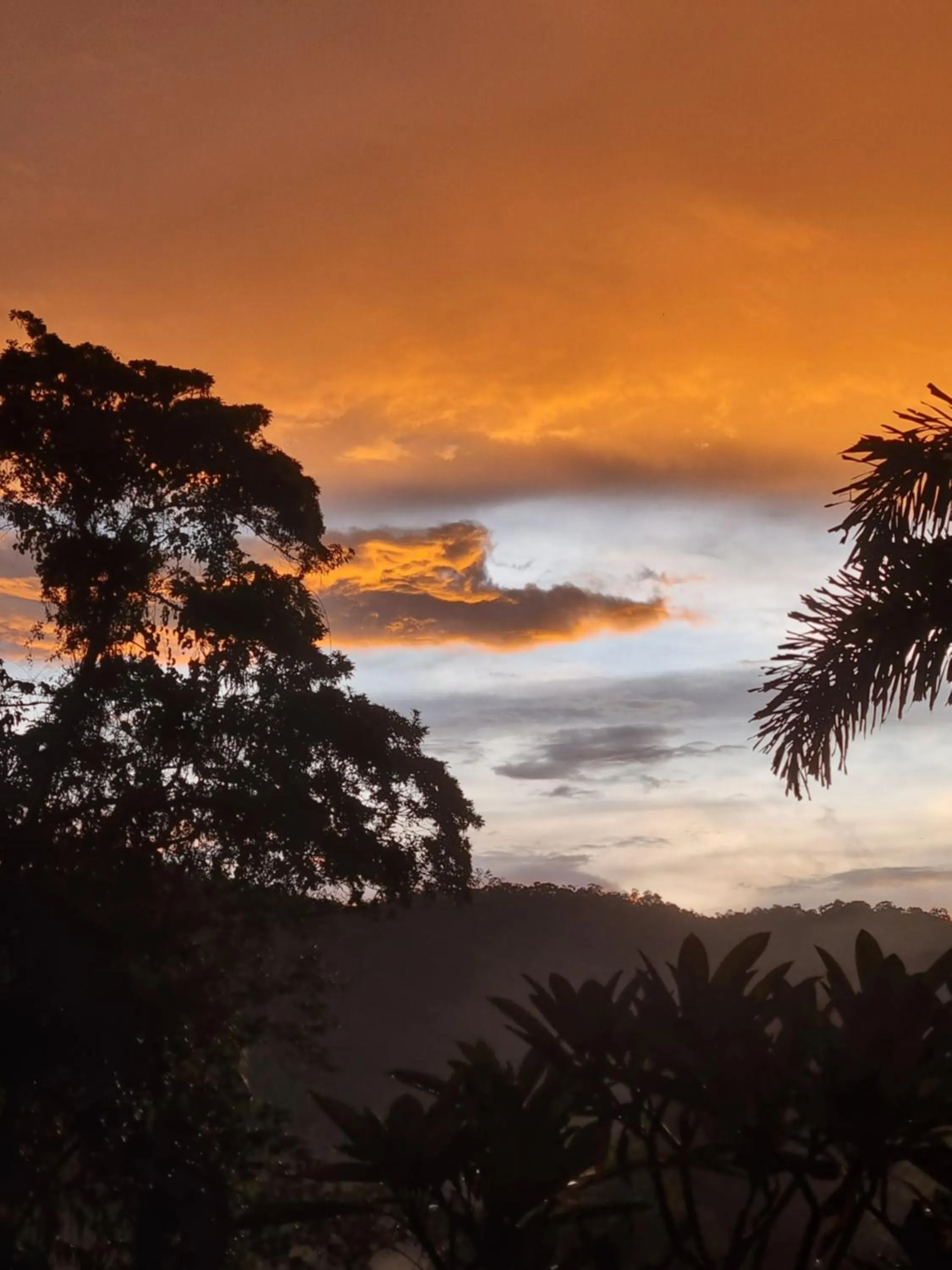 Sunset in Wompoo Eco Retreat