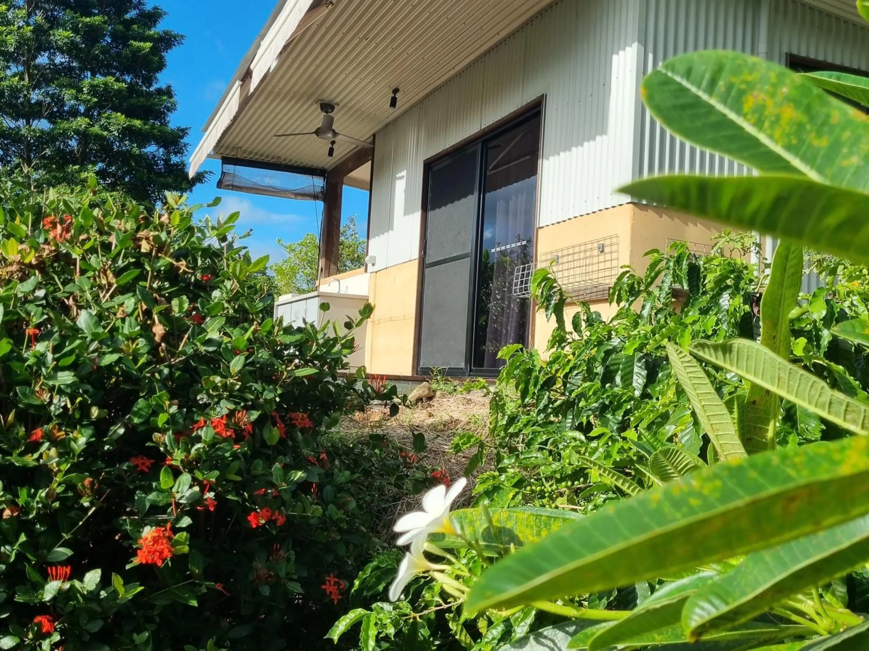 Garden in Wompoo Eco Retreat