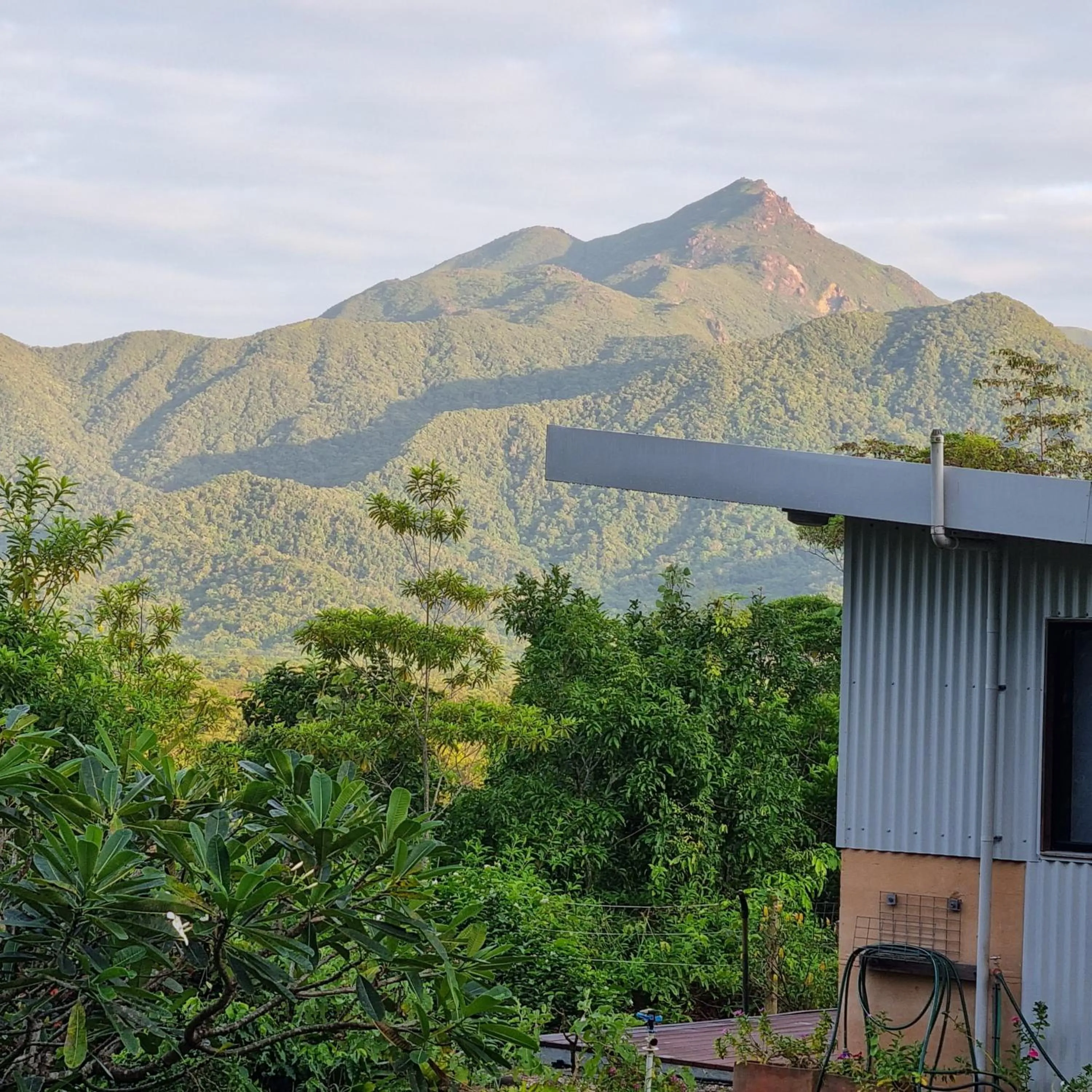Mountain view in Wompoo Eco Retreat