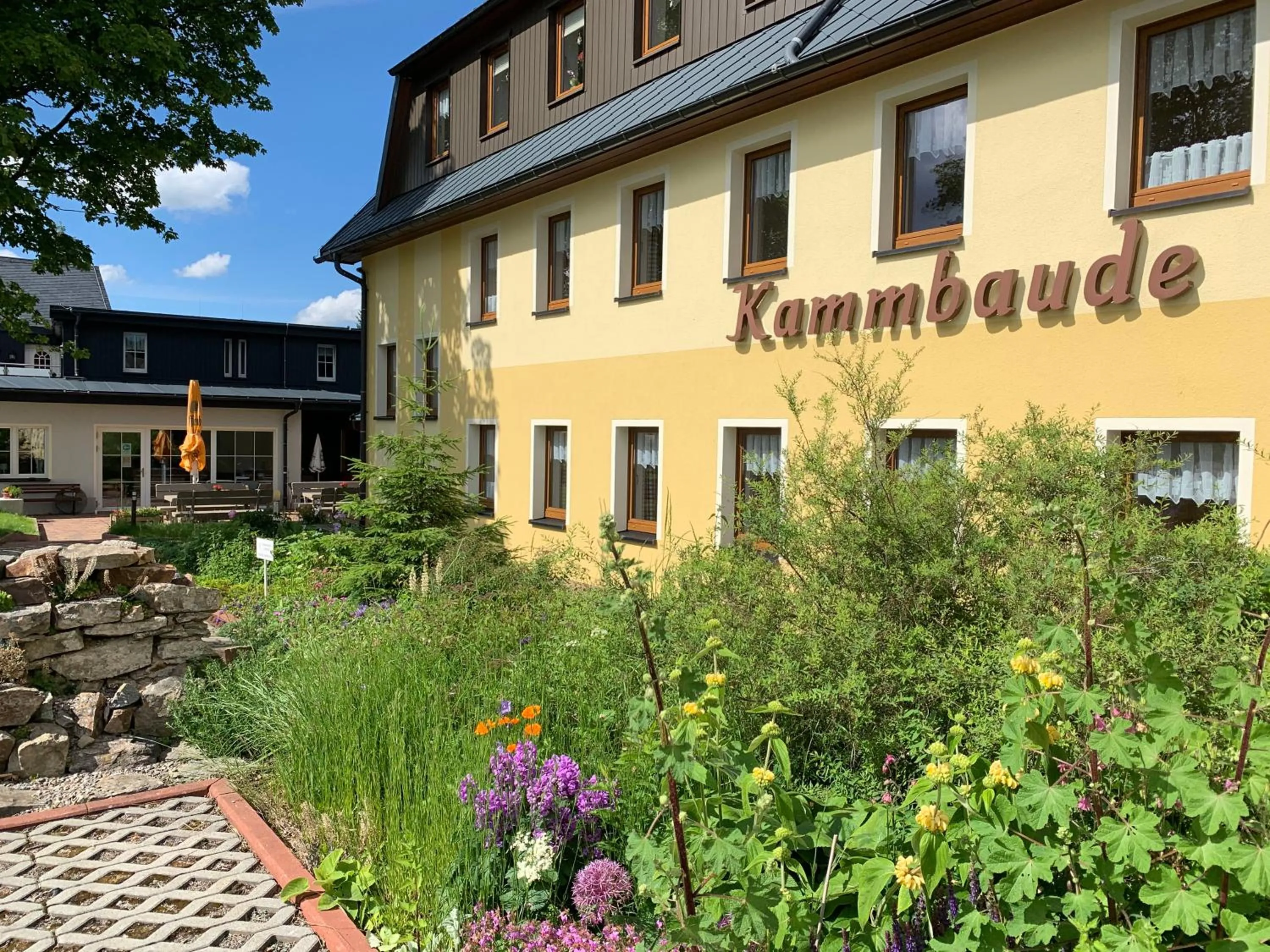 Property building in Hotel Dachsbaude & Kammbaude