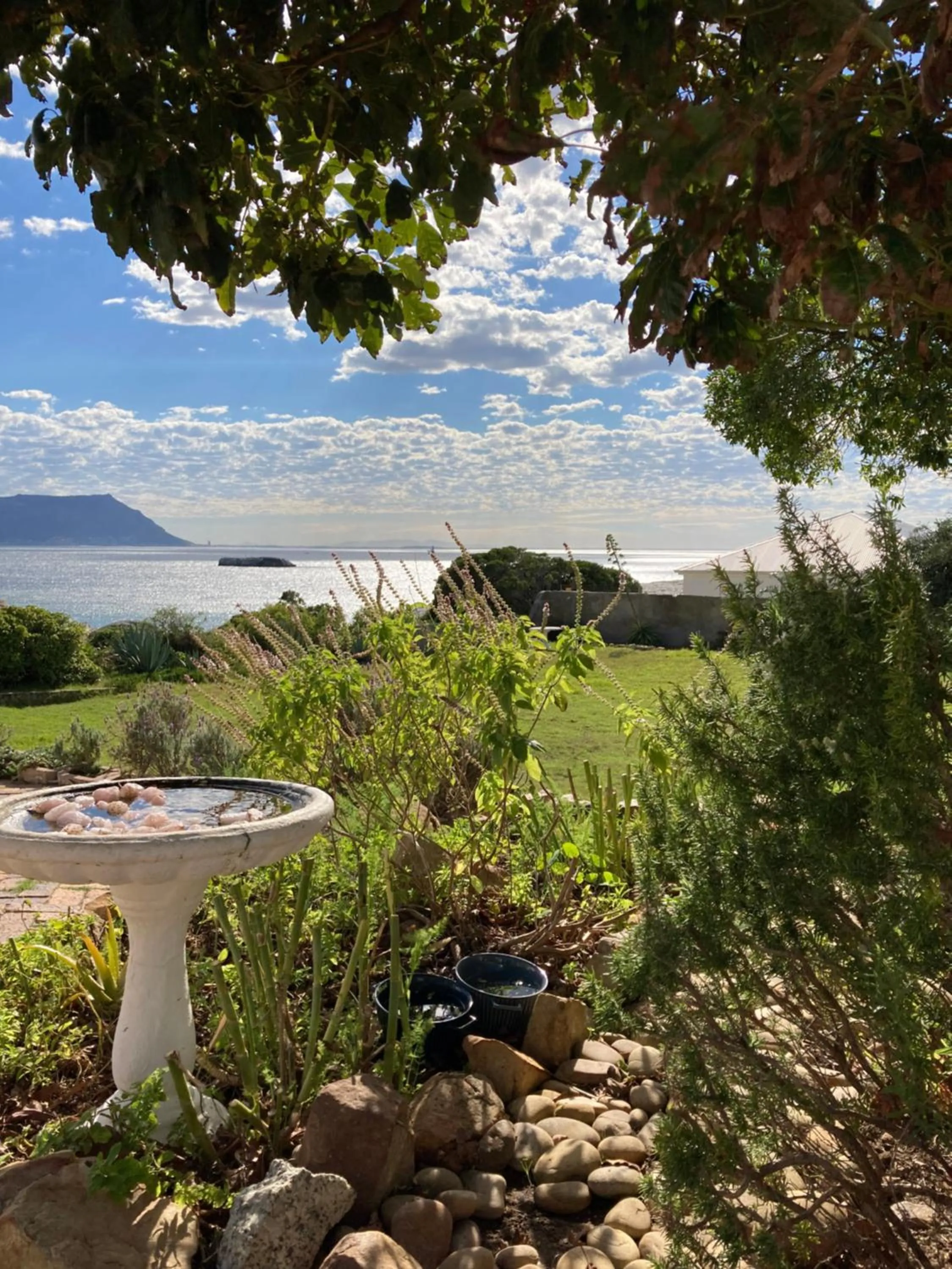 Nearby landmark in Bosky Dell on Boulders Beach