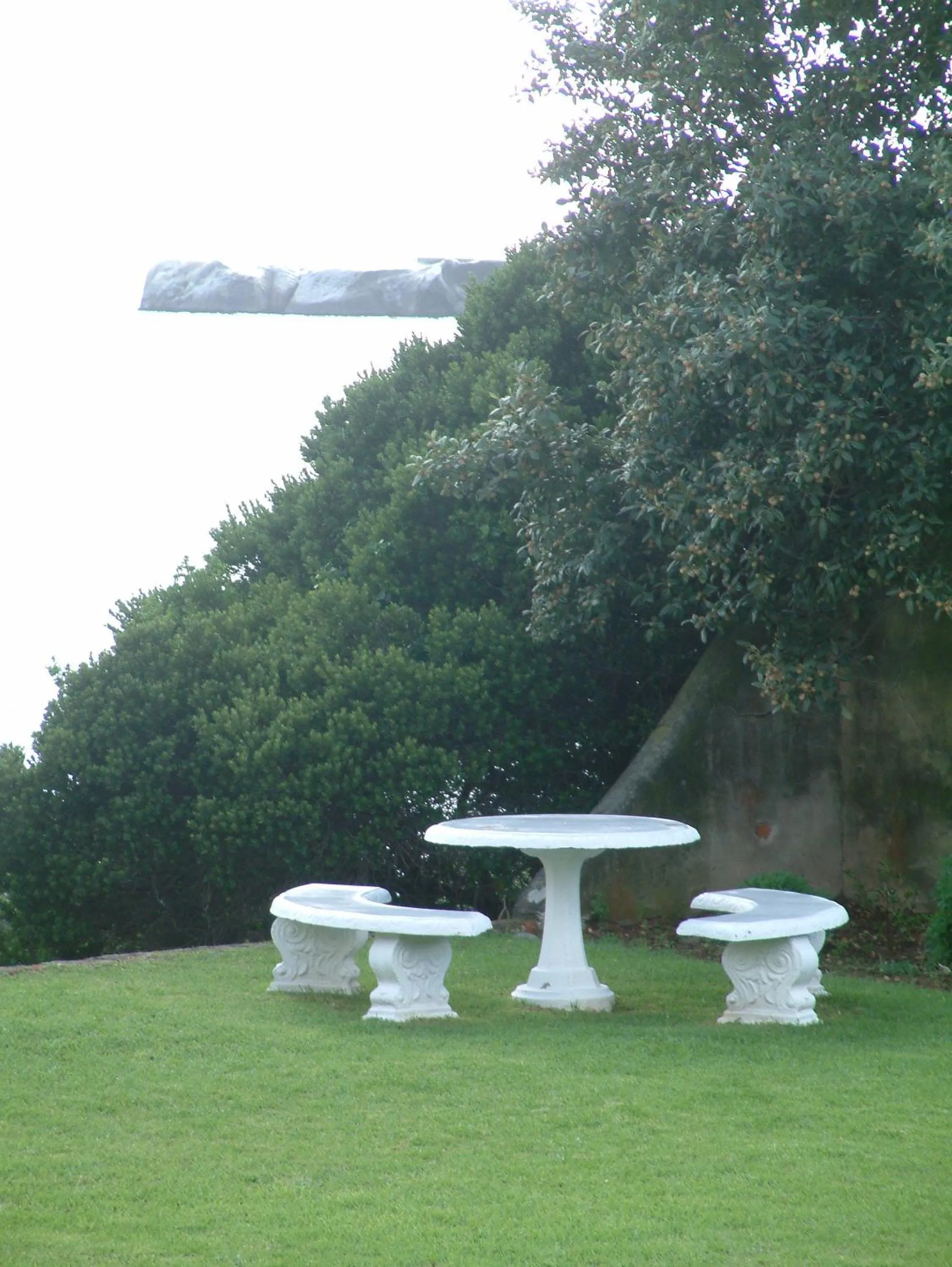 Garden in Bosky Dell on Boulders Beach