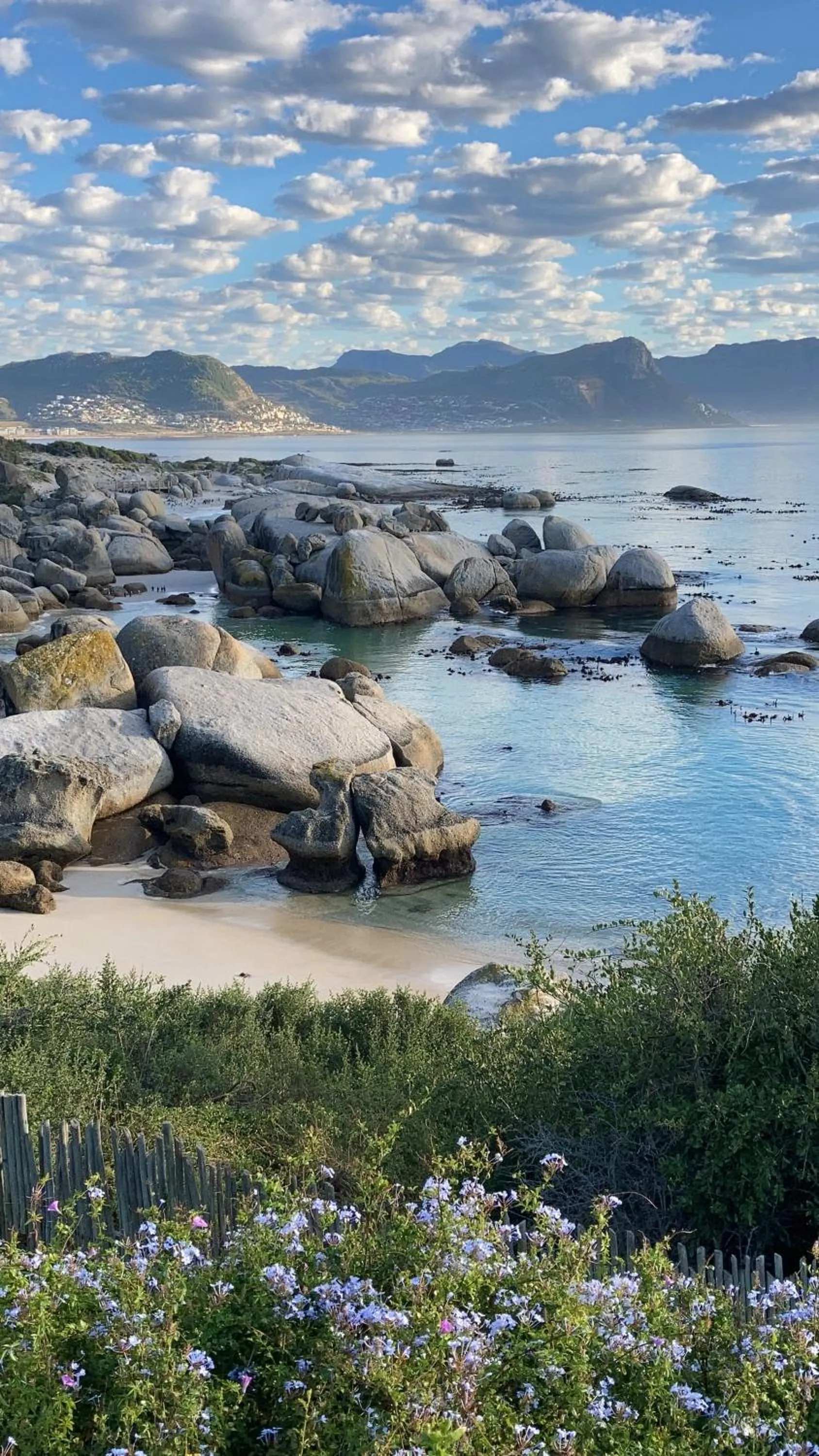 Natural landscape in Bosky Dell on Boulders Beach