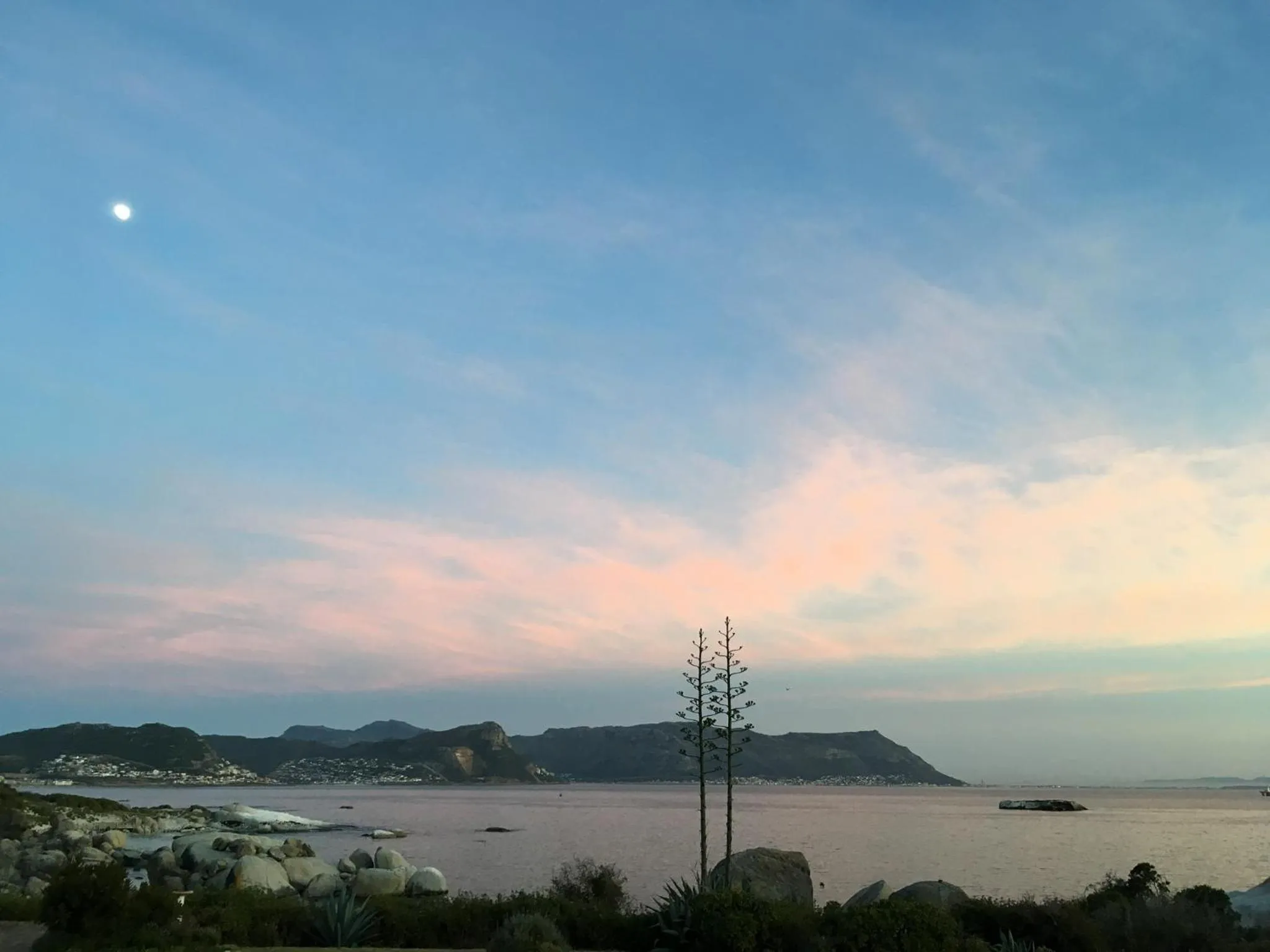 Nearby landmark in Bosky Dell on Boulders Beach