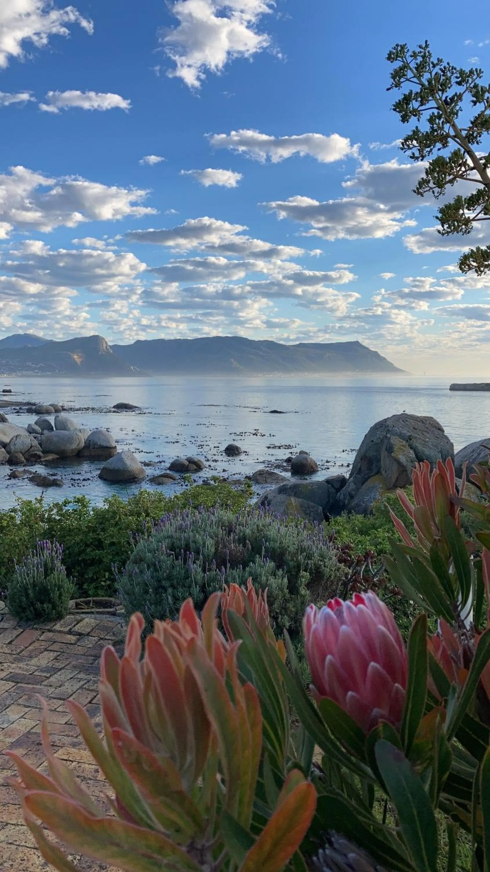 Natural landscape in Bosky Dell on Boulders Beach