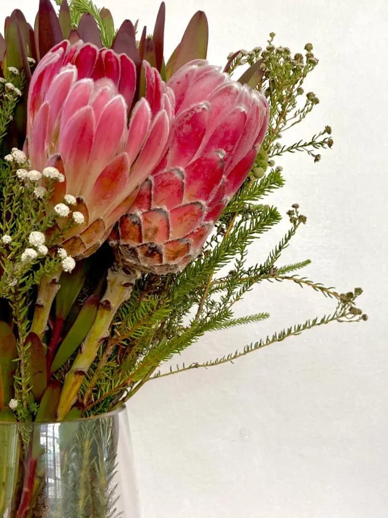 Decorative detail in Bosky Dell on Boulders Beach