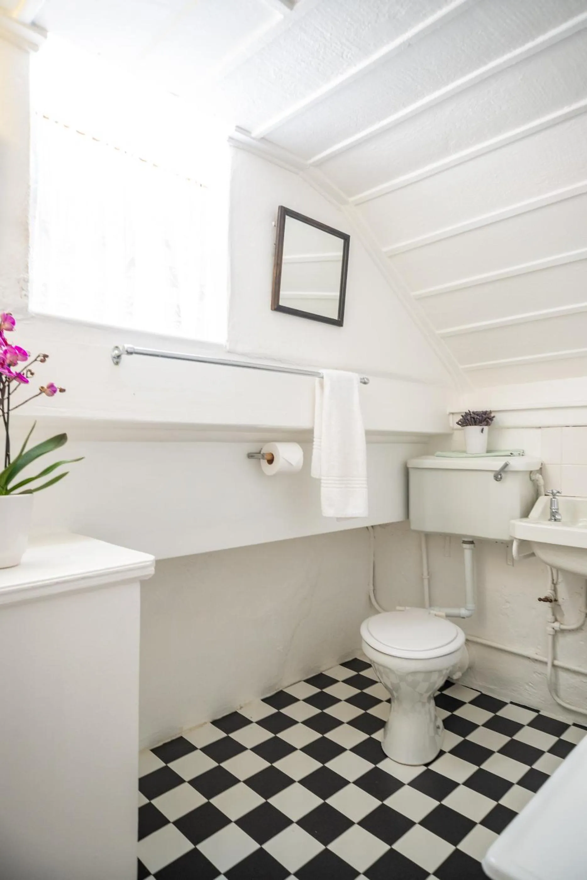 Toilet in Bosky Dell on Boulders Beach