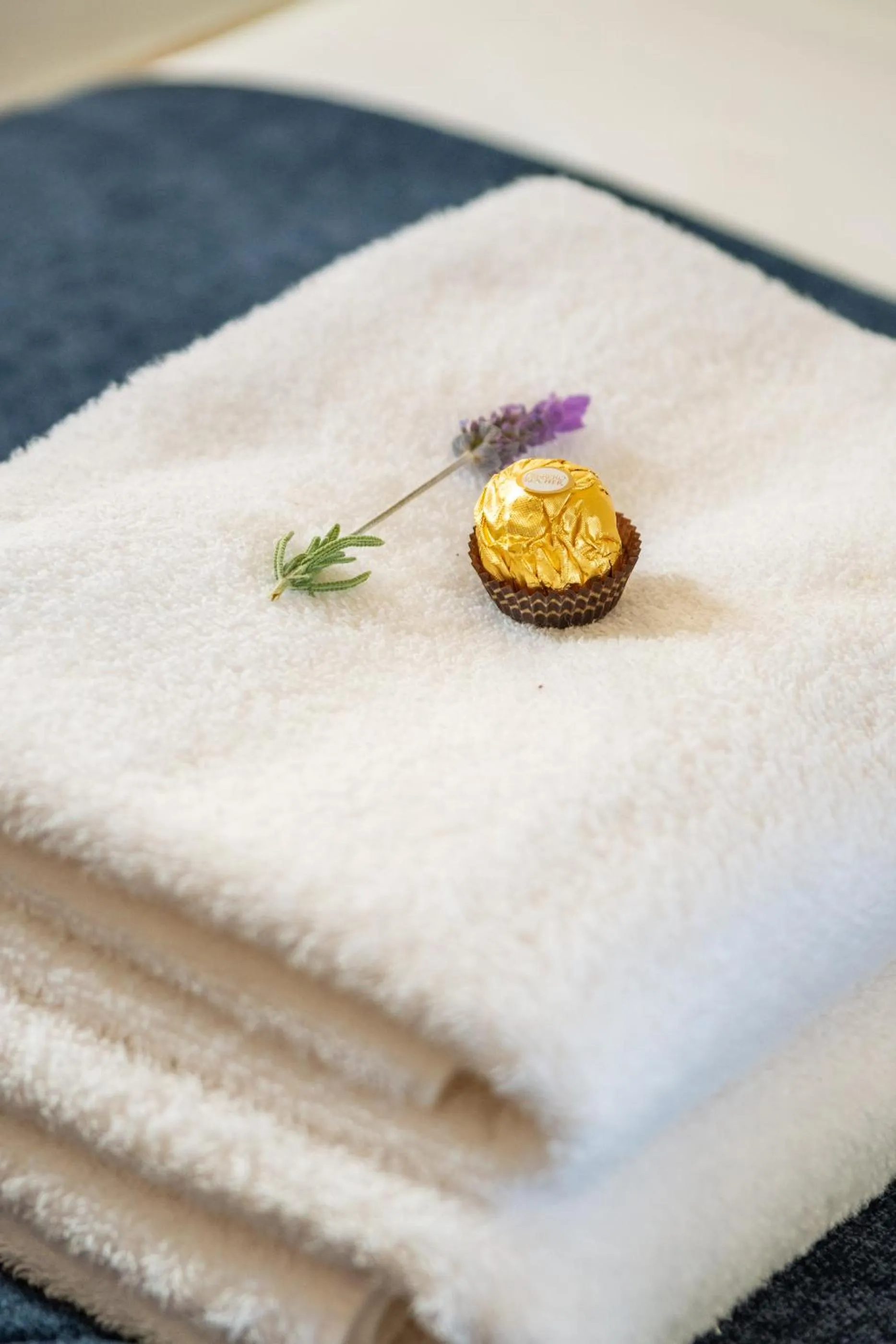 Decorative detail in Bosky Dell on Boulders Beach