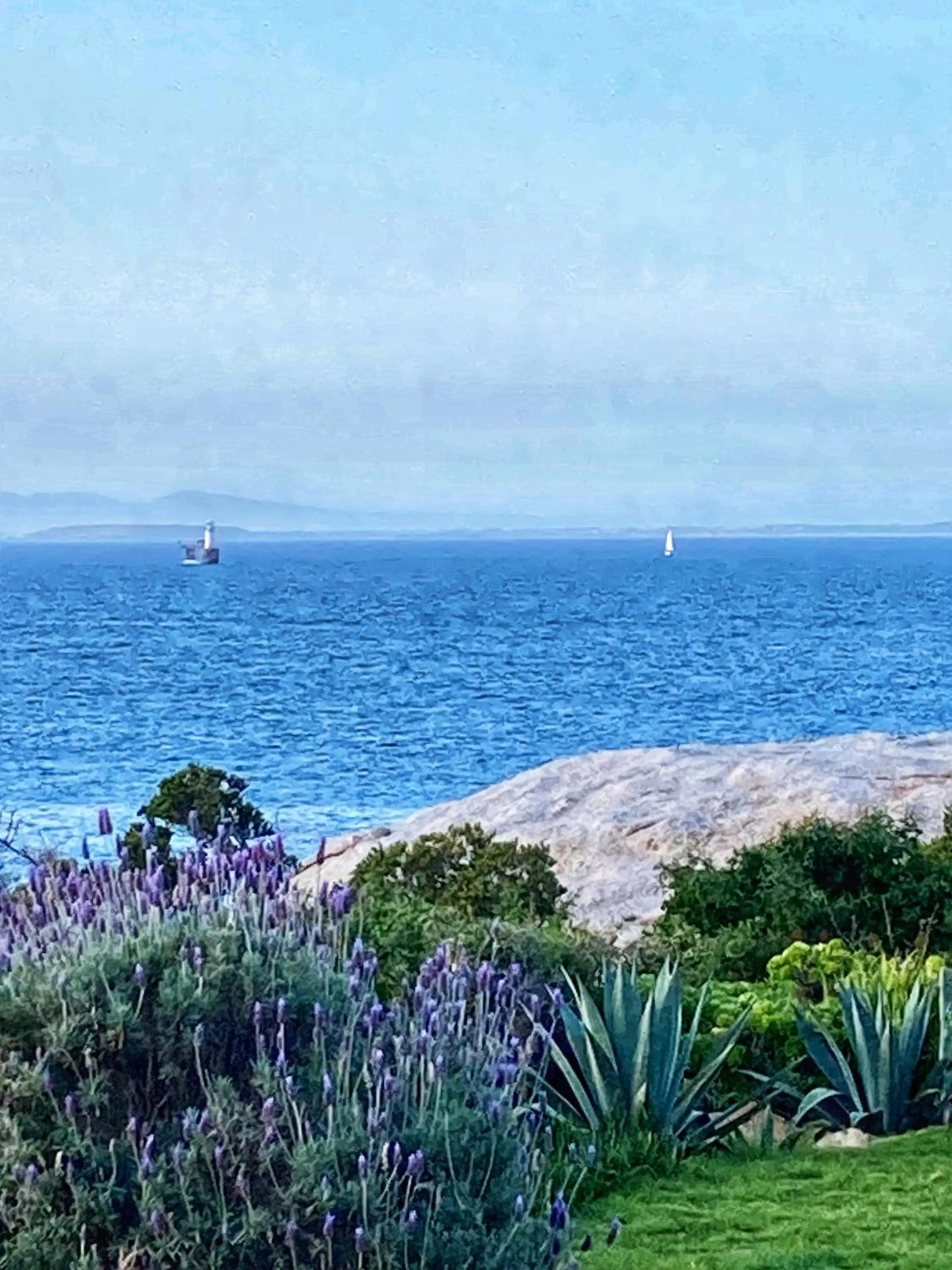 Mountain view in Bosky Dell on Boulders Beach
