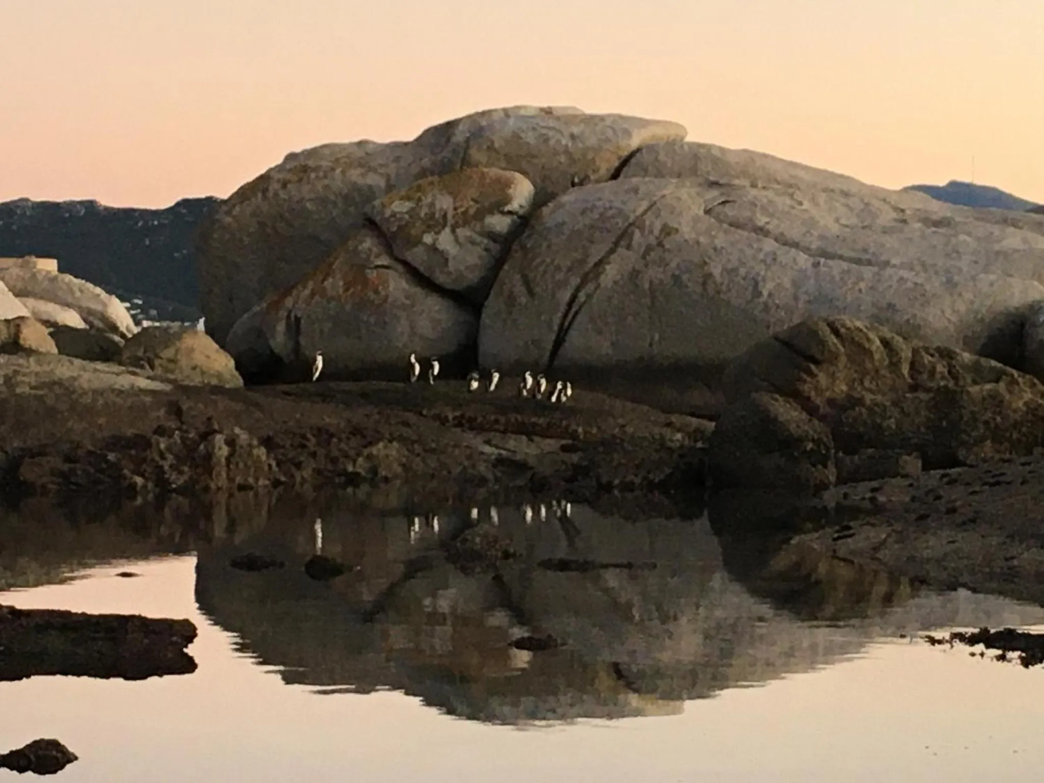 Nearby landmark in Bosky Dell on Boulders Beach