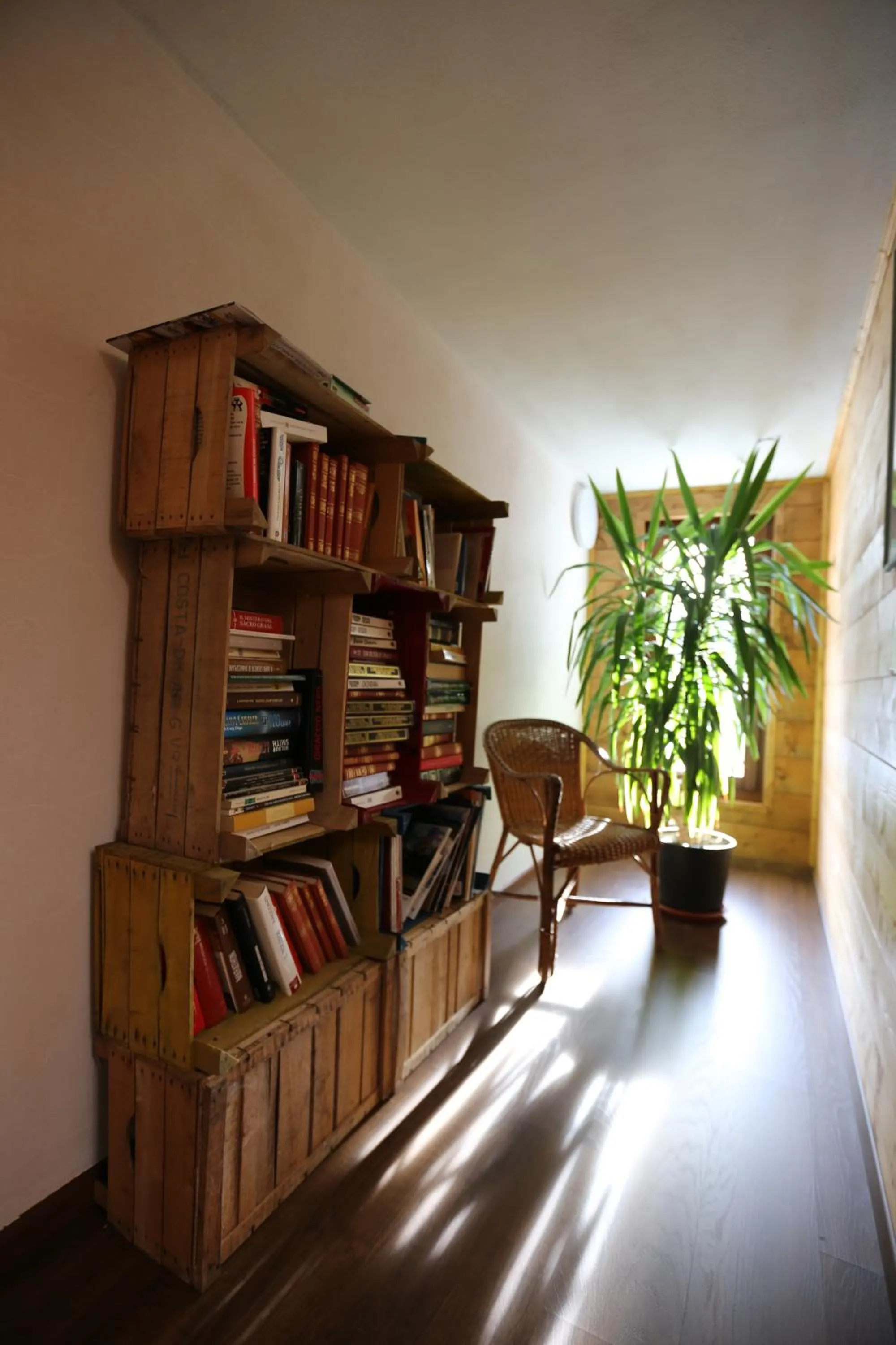 Library in Da Cecilia