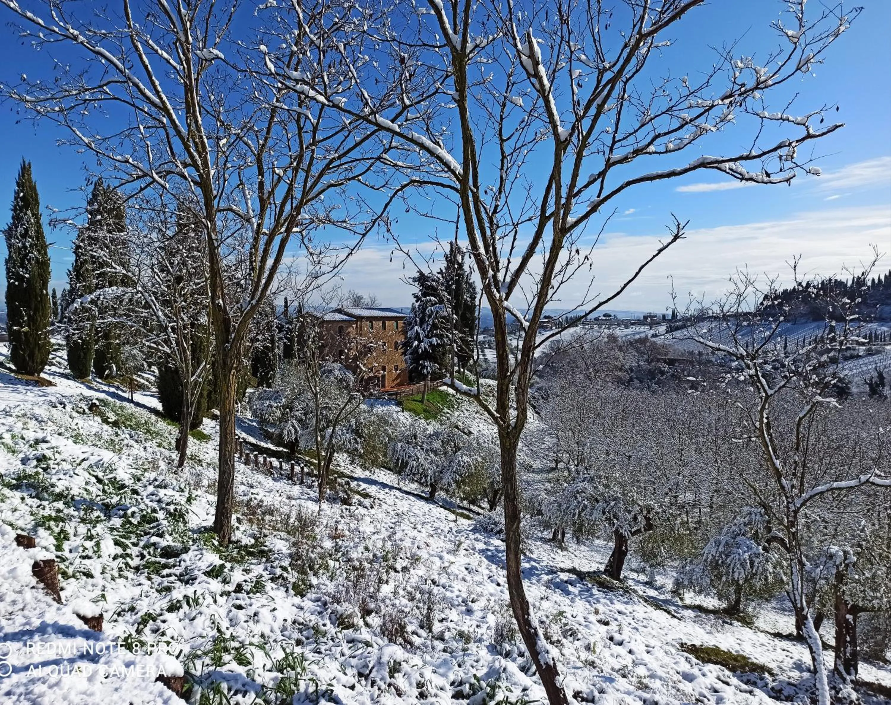 Winter in Rocca degli Olivi