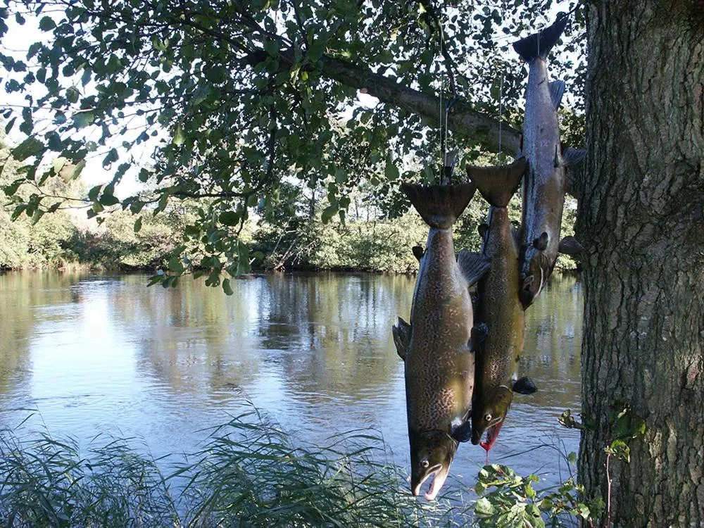 Fishing in Laholms Stadshotell