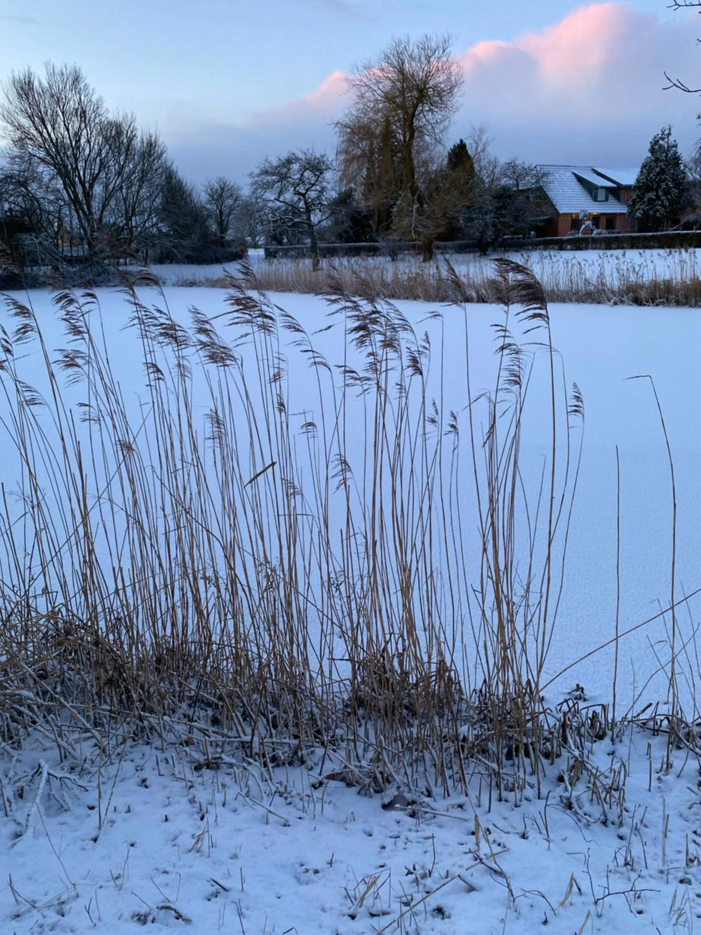 Natural landscape in Rønhave