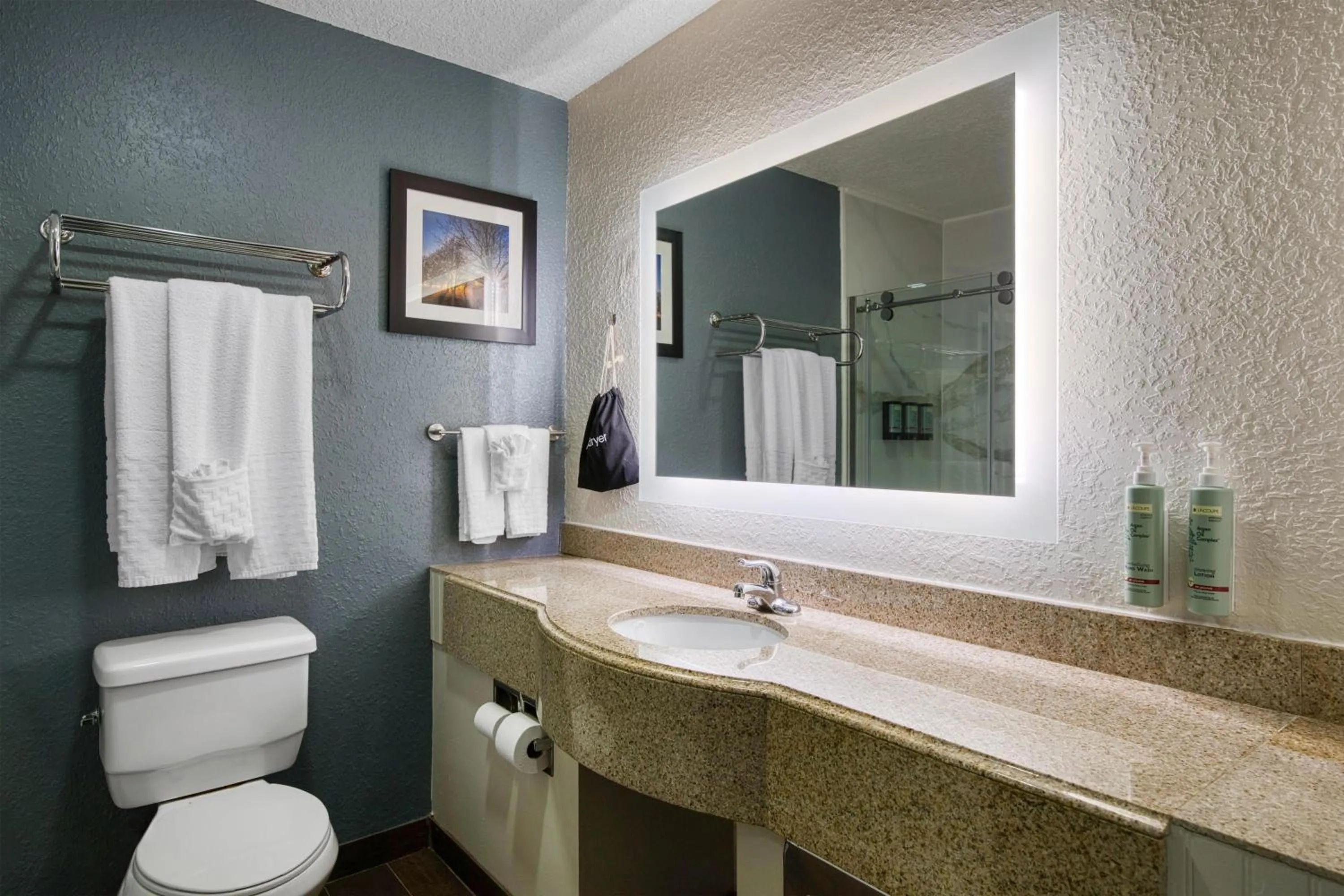 Bathroom in Best Western Waldo Inn & Suites