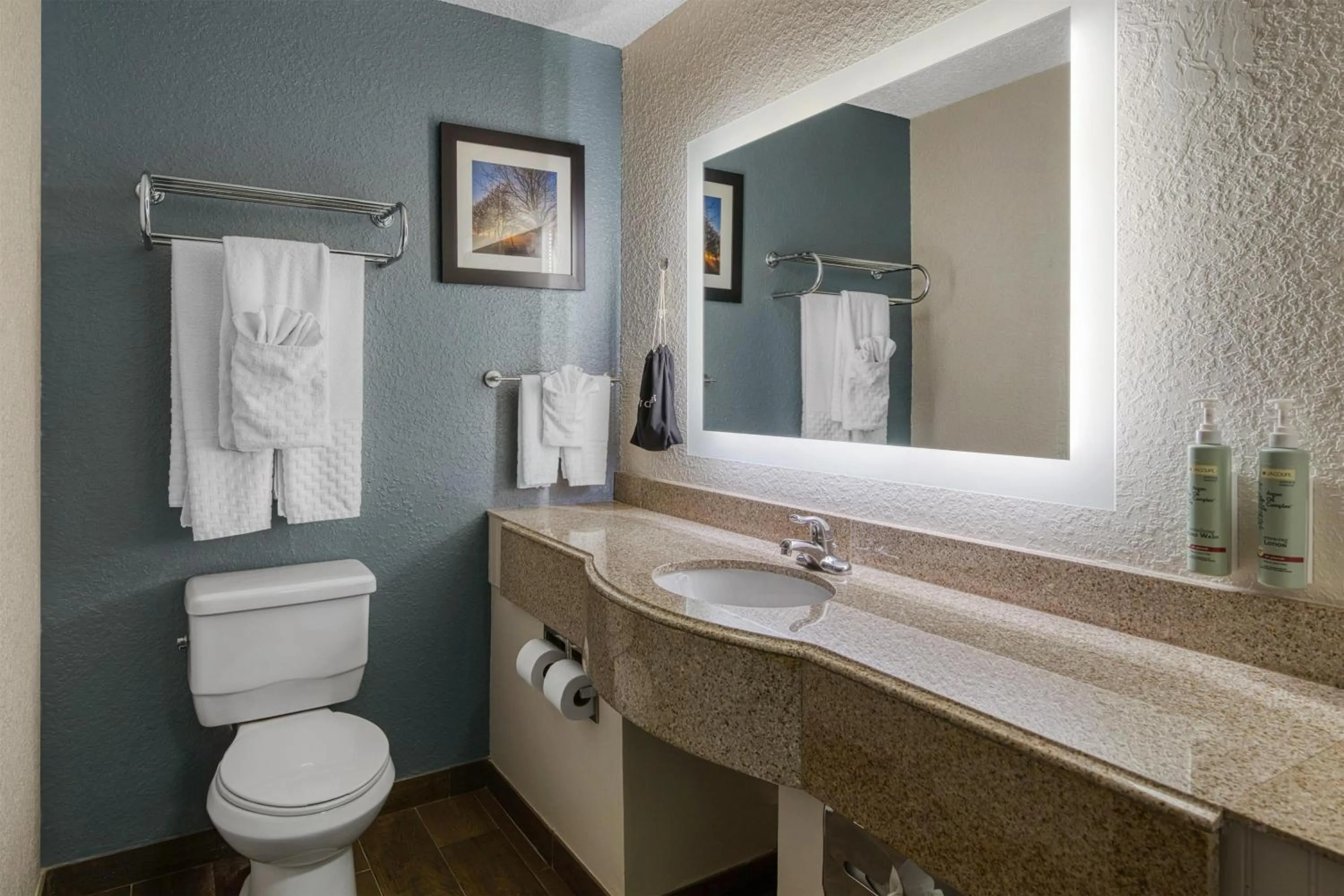 Bathroom in Best Western Waldo Inn & Suites