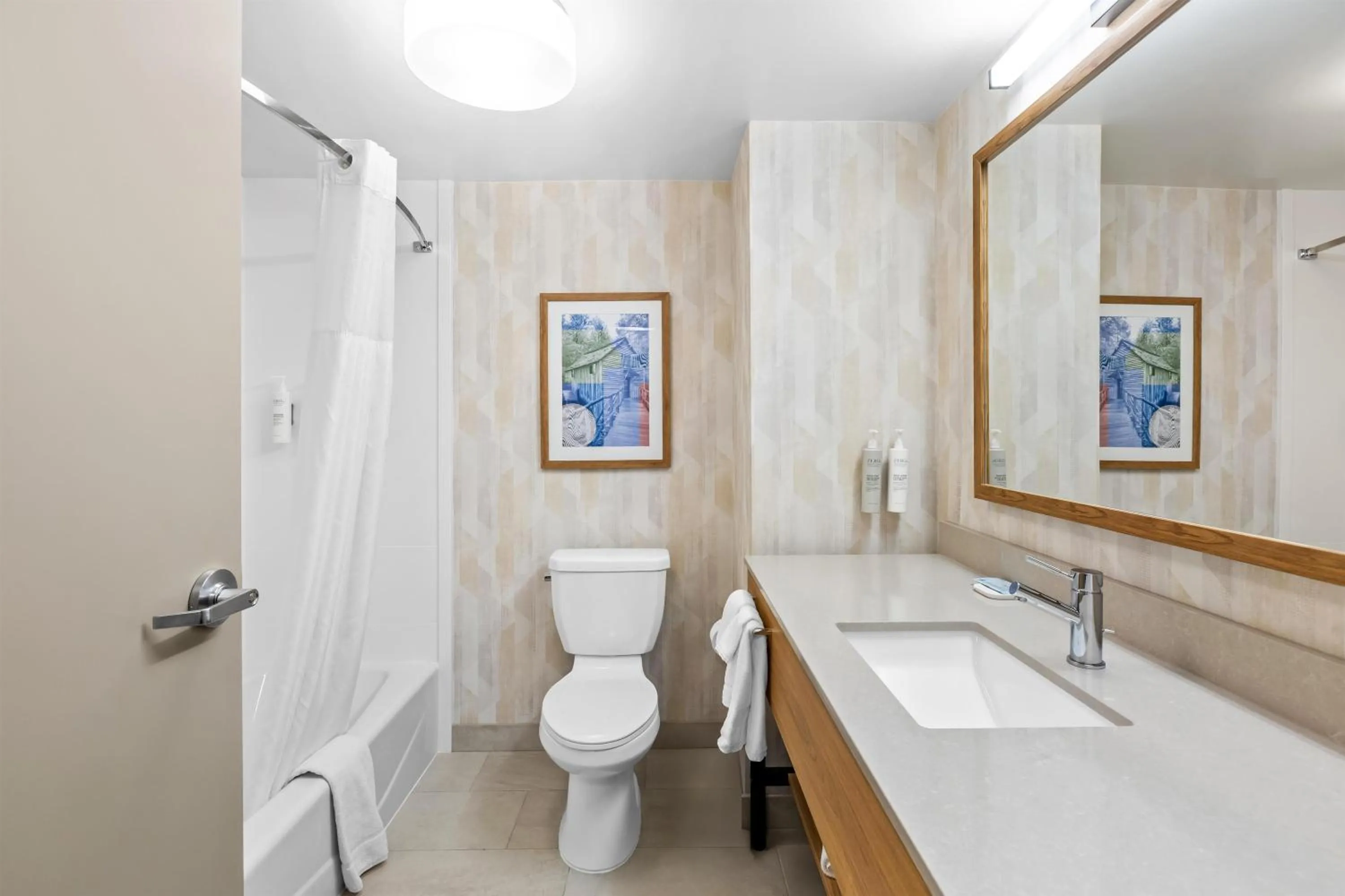 Bathroom in Hampton Inn Carrollton